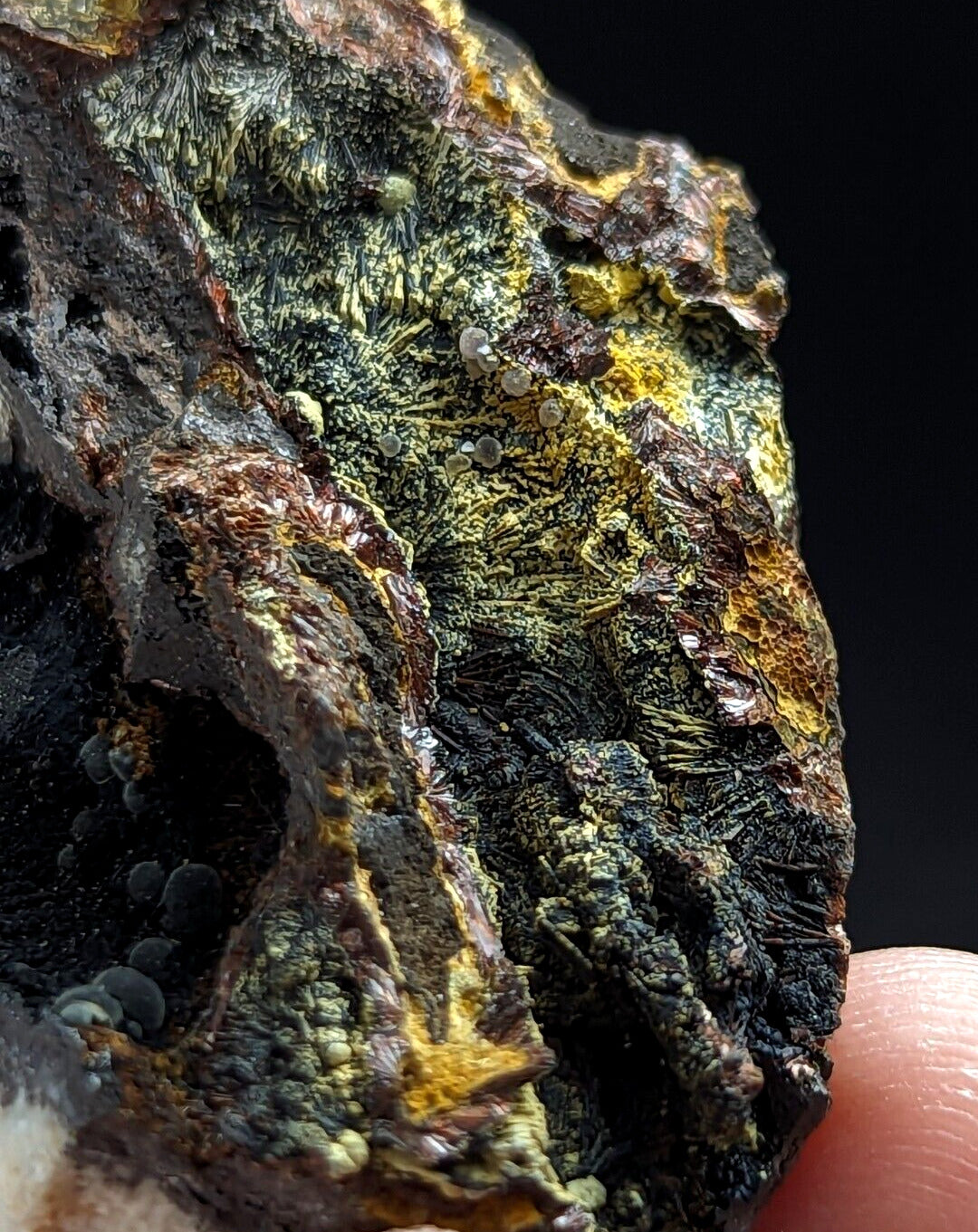 Rare Iron Phosphates Combo (Elenorite Cacoxenite etc) Polk County Arkansas - Collectibles:Rocks Fossils &