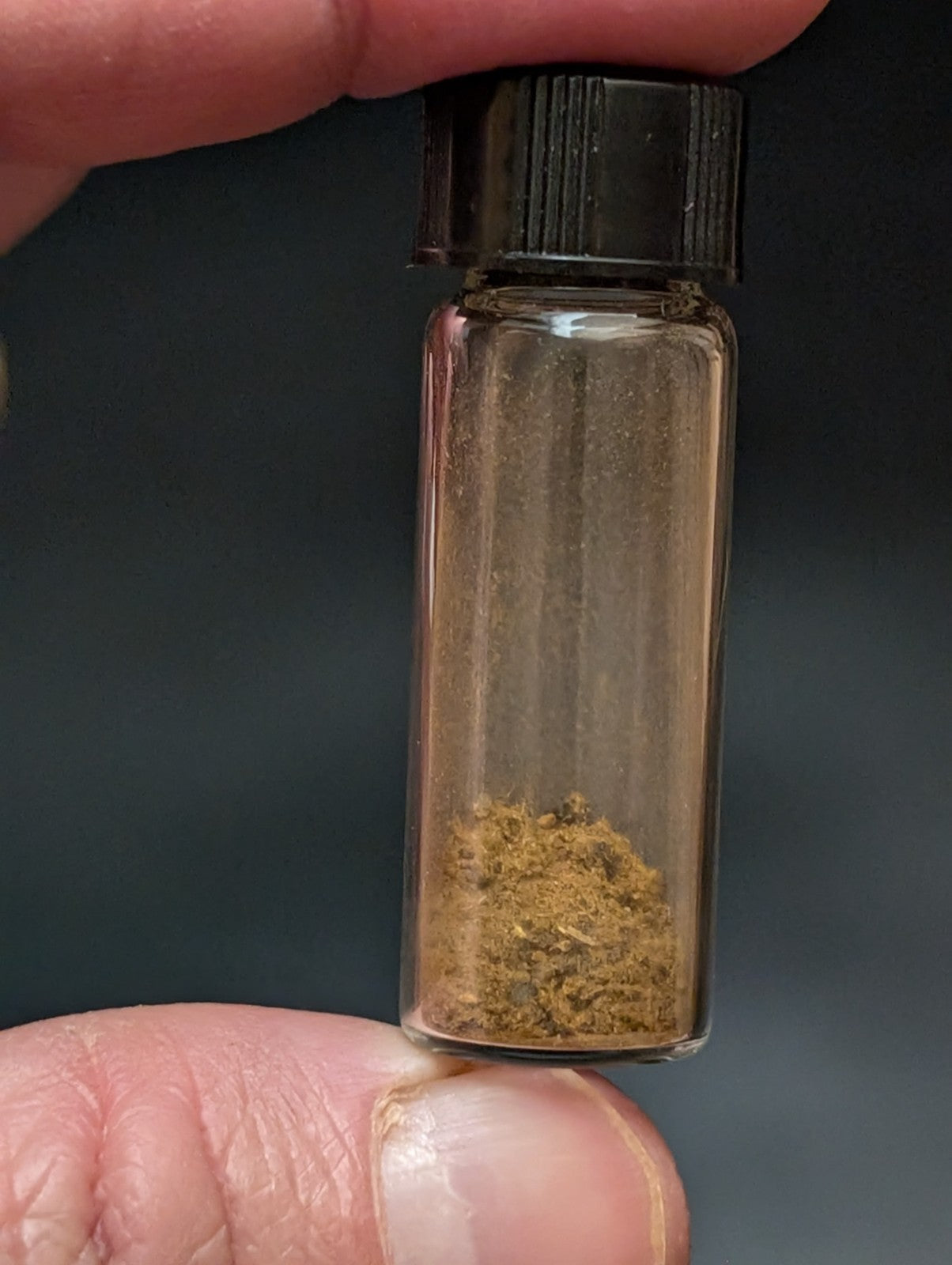 Rare Jar of Cacoxenite Needles- Coon Creek Polk Co Arkansas Old Stock Mineral - Collectibles:Rocks Fossils &
