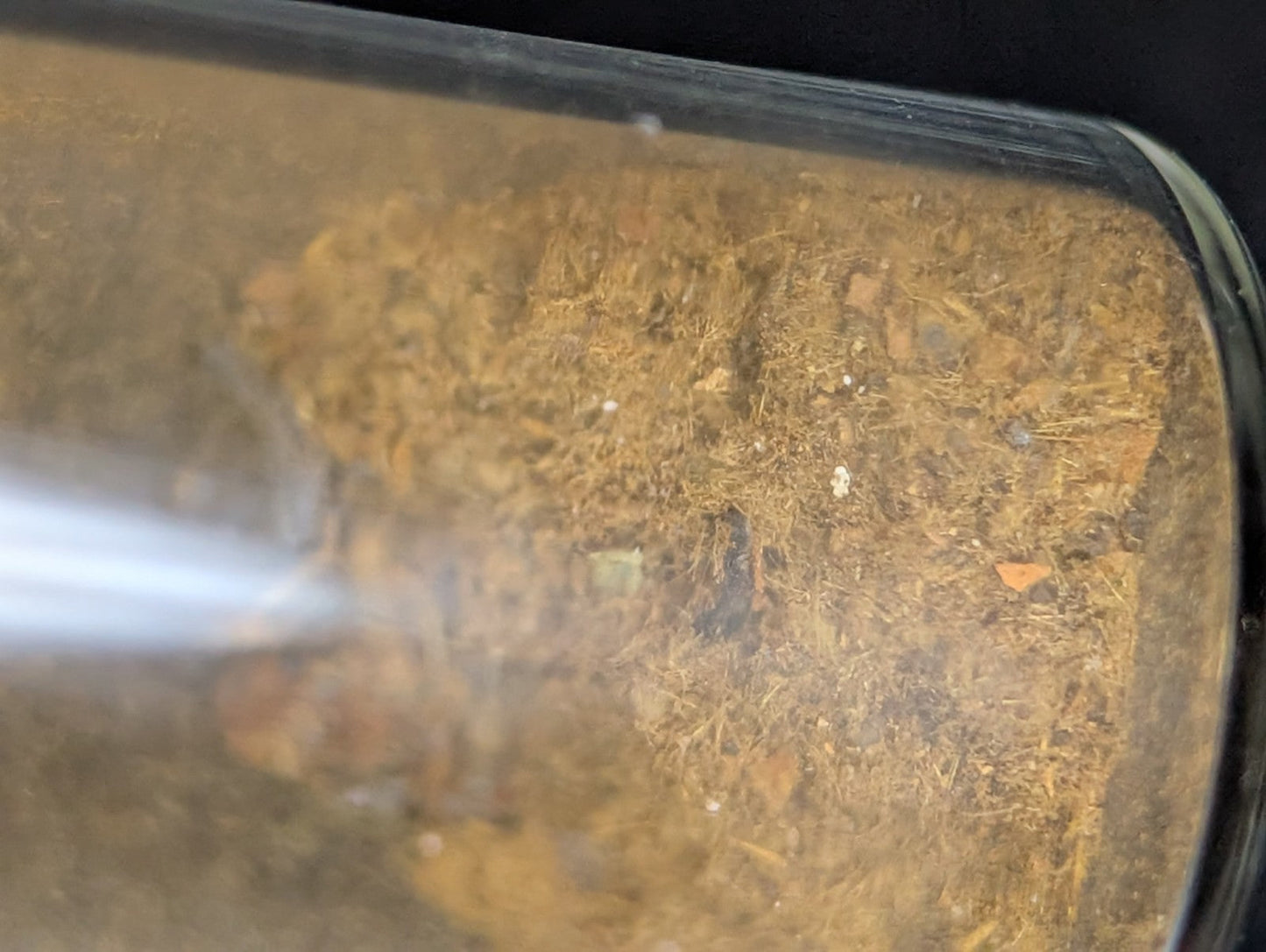 Rare Jar of Cacoxenite Needles- Coon Creek Polk Co Arkansas Old Stock Mineral - Collectibles:Rocks Fossils &