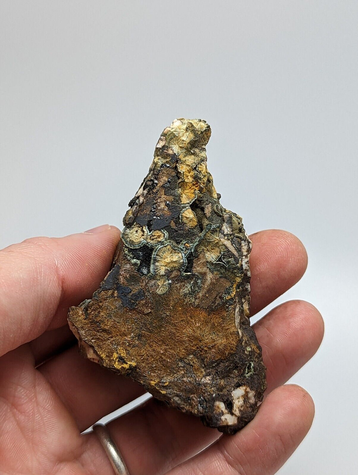 Rare Kidwellite On Black Rockbridgeite Beraunite -York Mine Polk Co Arkansas - Collectibles:Rocks Fossils &