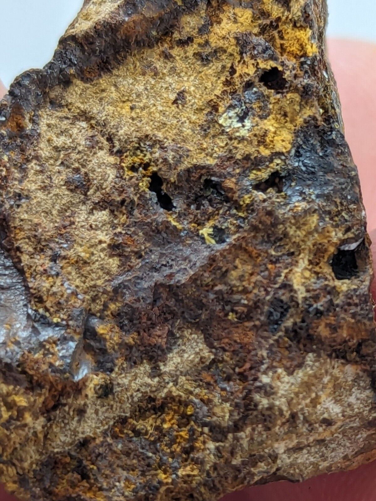 Rare Kidwellite On Black Rockbridgeite Beraunite -York Mine Polk Co Arkansas - Collectibles:Rocks Fossils &