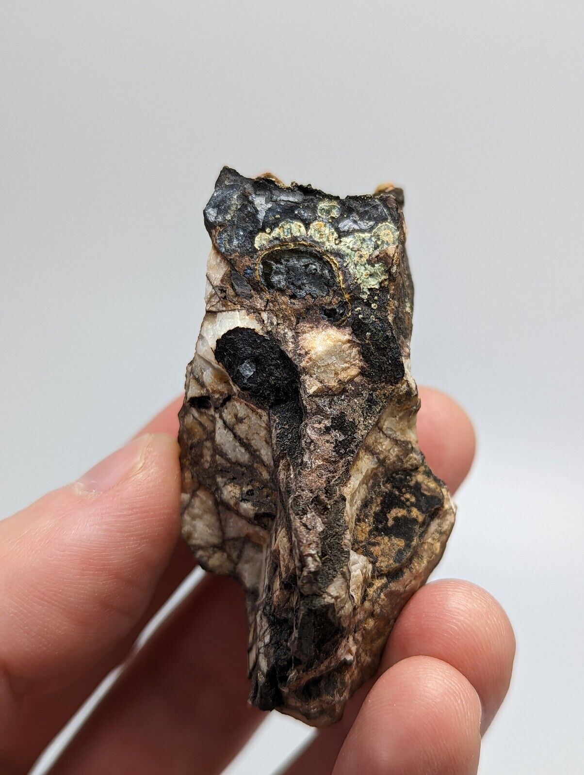 RARE KIDWELLITE ON BLACK ROCKBRIDGEITE NOVACULITE -YORK MINE POLK CO ARKANSAS - Collectibles:Rocks Fossils &