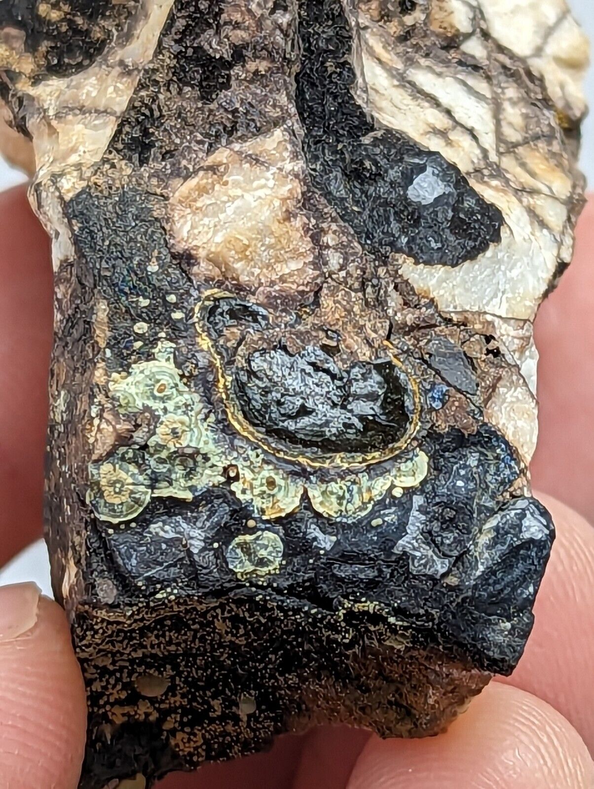 RARE KIDWELLITE ON BLACK ROCKBRIDGEITE NOVACULITE -YORK MINE POLK CO ARKANSAS - Collectibles:Rocks Fossils &