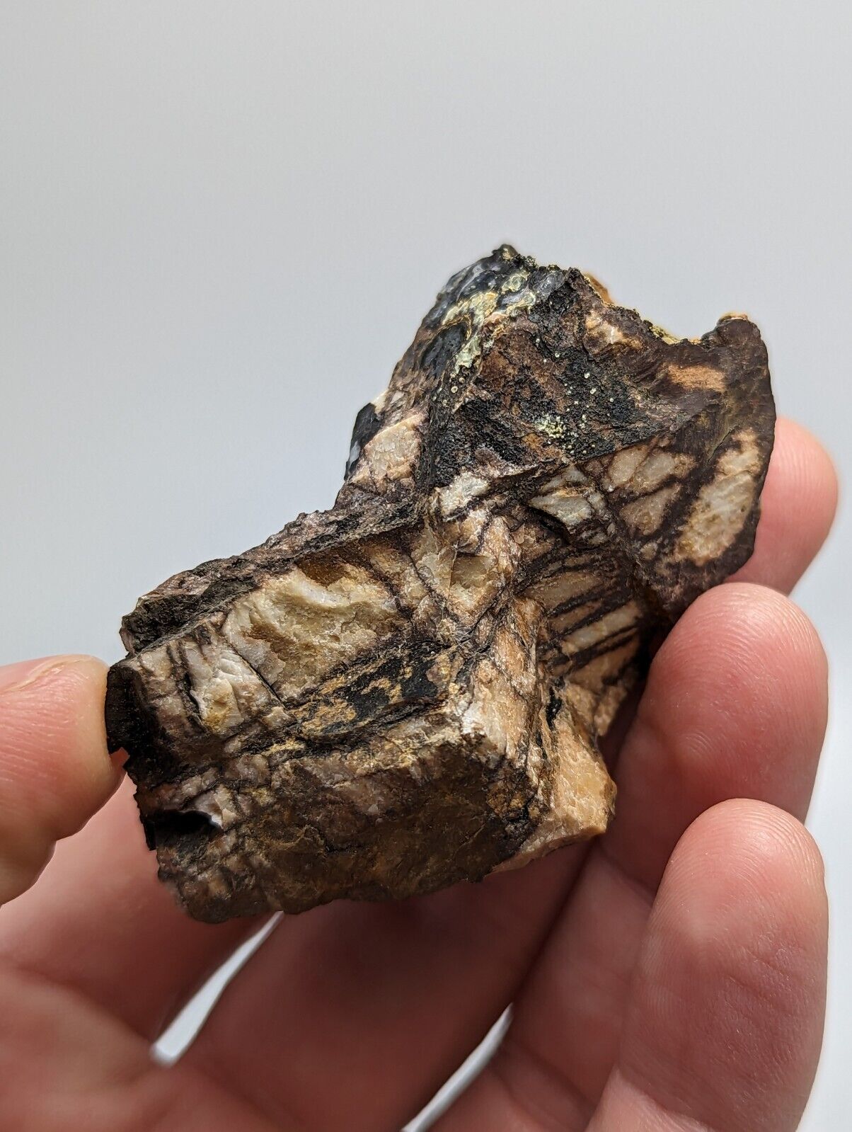 RARE KIDWELLITE ON BLACK ROCKBRIDGEITE NOVACULITE -YORK MINE POLK CO ARKANSAS - Collectibles:Rocks Fossils &
