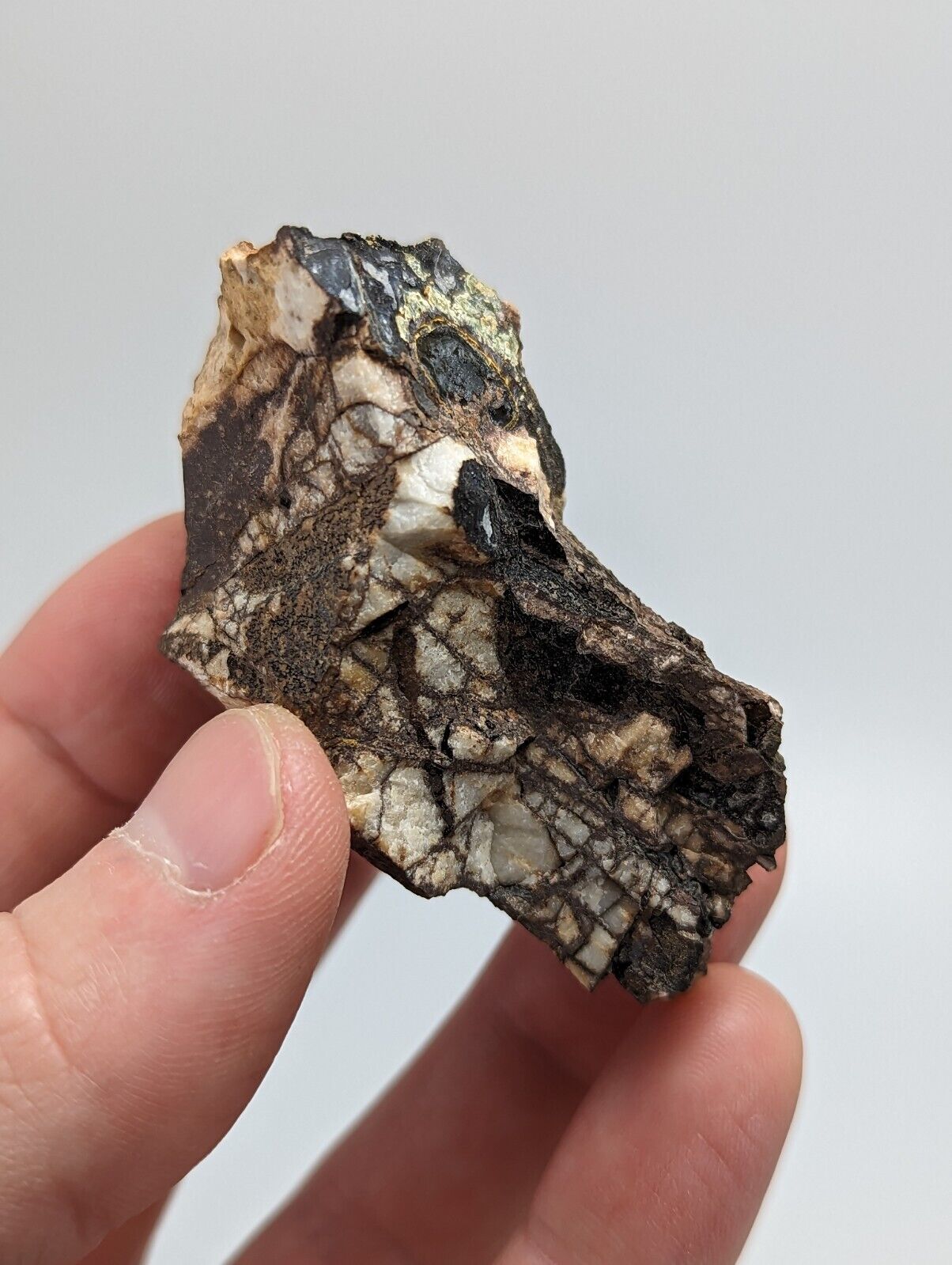 RARE KIDWELLITE ON BLACK ROCKBRIDGEITE NOVACULITE -YORK MINE POLK CO ARKANSAS - Collectibles:Rocks Fossils &