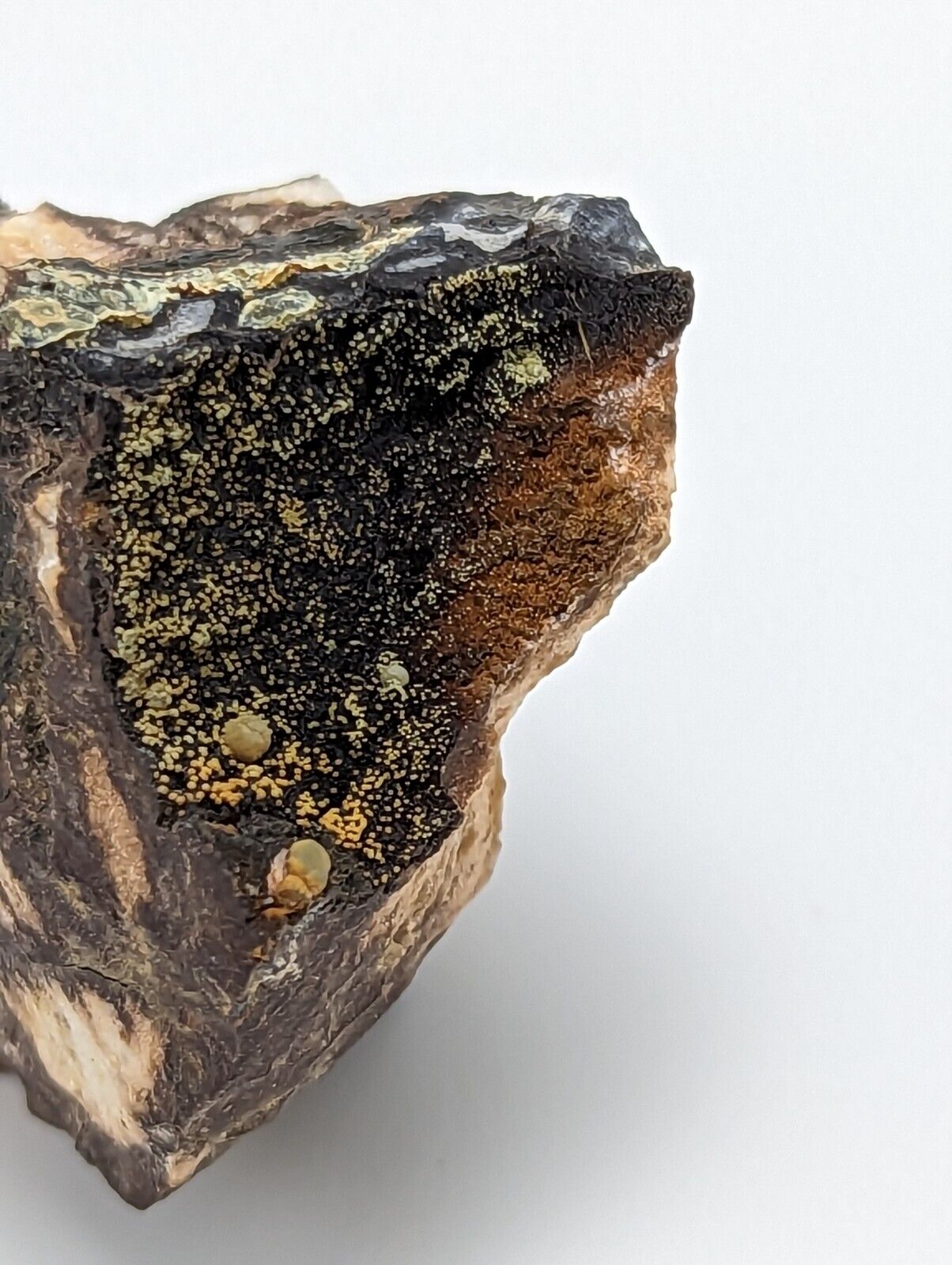 RARE KIDWELLITE ON BLACK ROCKBRIDGEITE NOVACULITE -YORK MINE POLK CO ARKANSAS - Collectibles:Rocks Fossils &