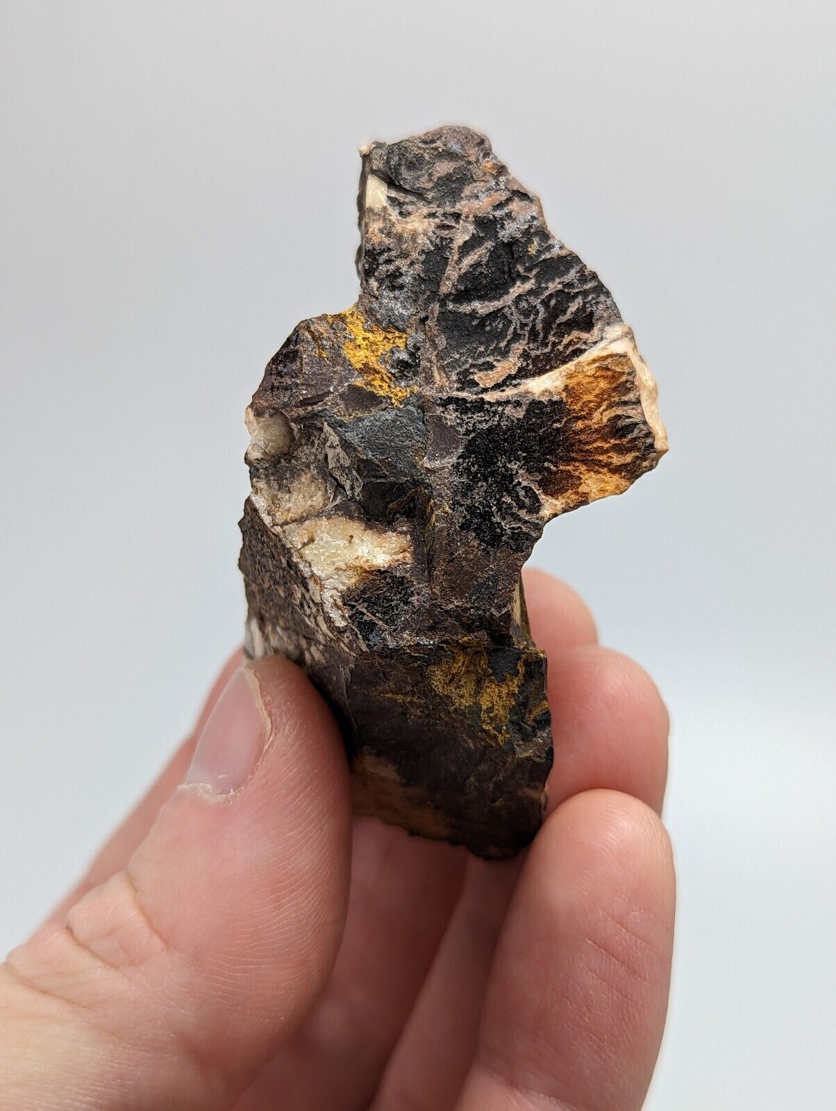 RARE KIDWELLITE ON BLACK ROCKBRIDGEITE NOVACULITE -YORK MINE POLK CO ARKANSAS - Collectibles:Rocks Fossils &