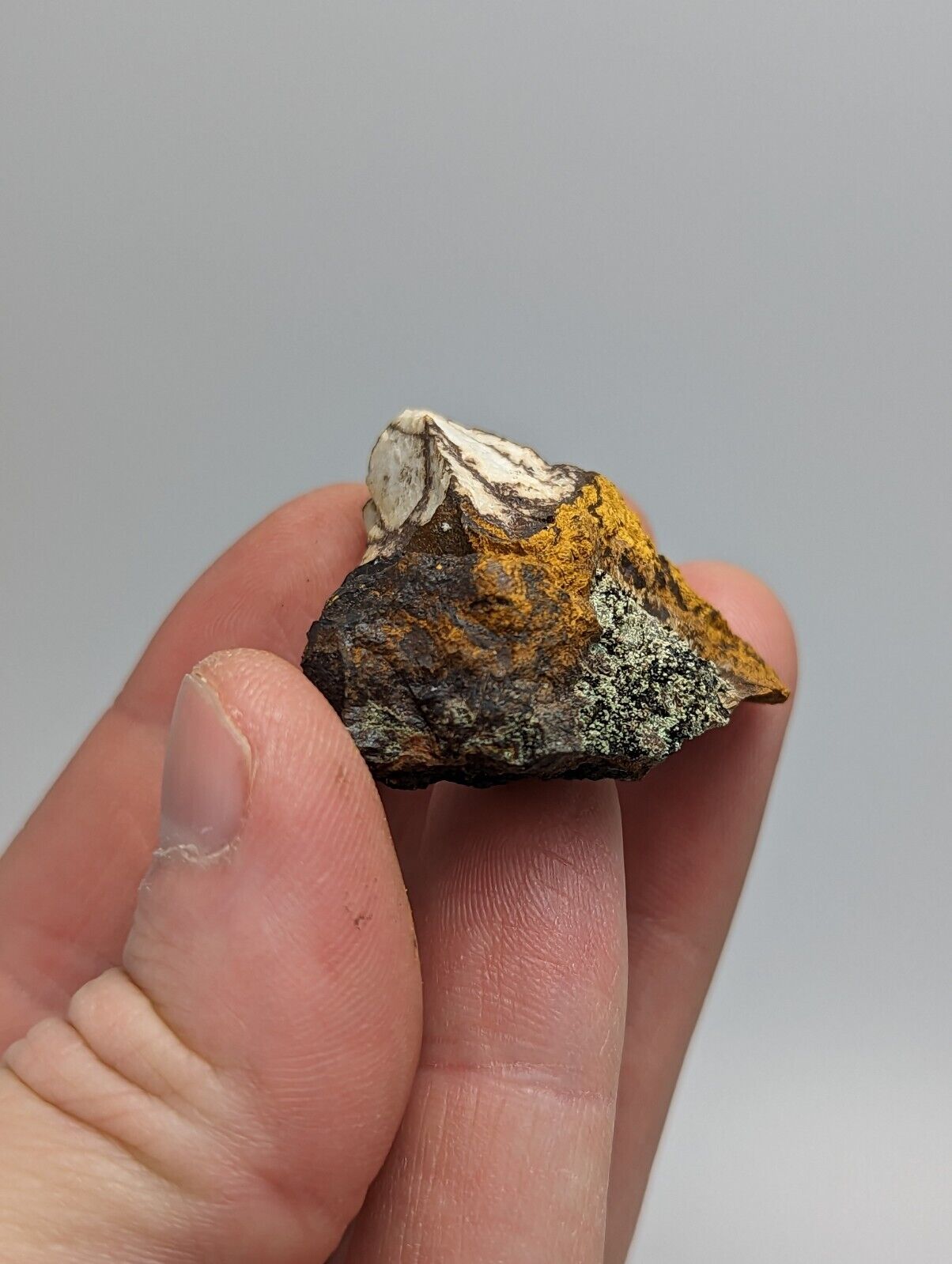 Rare Kidwellite On Black Rockbridgeite -York Mine Polk Co Arkansas - Collectibles:Rocks Fossils & Minerals:Crystals