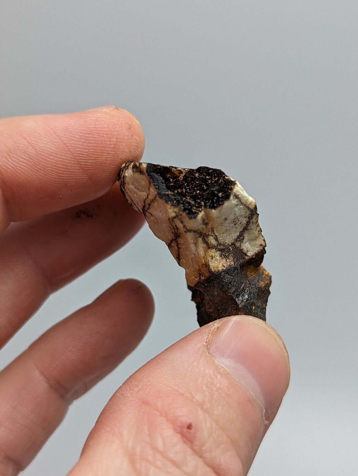 Rare Kidwellite On Black Rockbridgeite -York Mine Polk Co Arkansas - Collectibles:Rocks Fossils & Minerals:Crystals