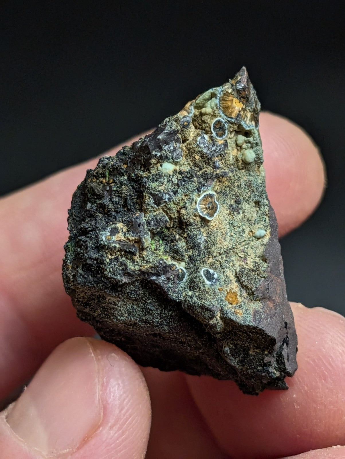 Rare Kidwellite w/ other Iron Phosphates -Coon Creek Mine Polk County Arkansas - Collectibles:Rocks Fossils &