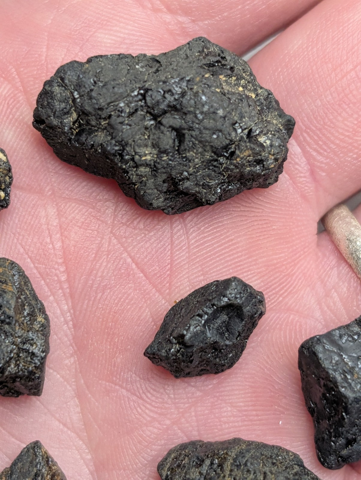 A rough black meteorite fragment with metallic flecks from a rare set of titanium-bearing garnets magnet cove Arkansas