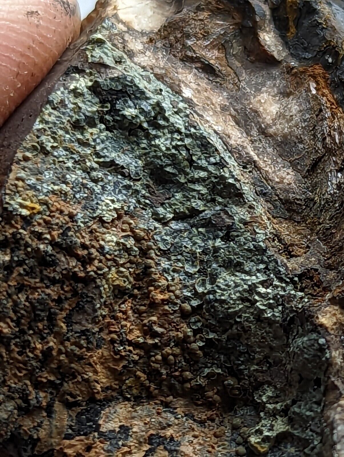 Rare Strengite Natural Rainbows Kidwellite Cacoxenite RARE Polk Co Arkansas - Collectibles:Rocks Fossils &