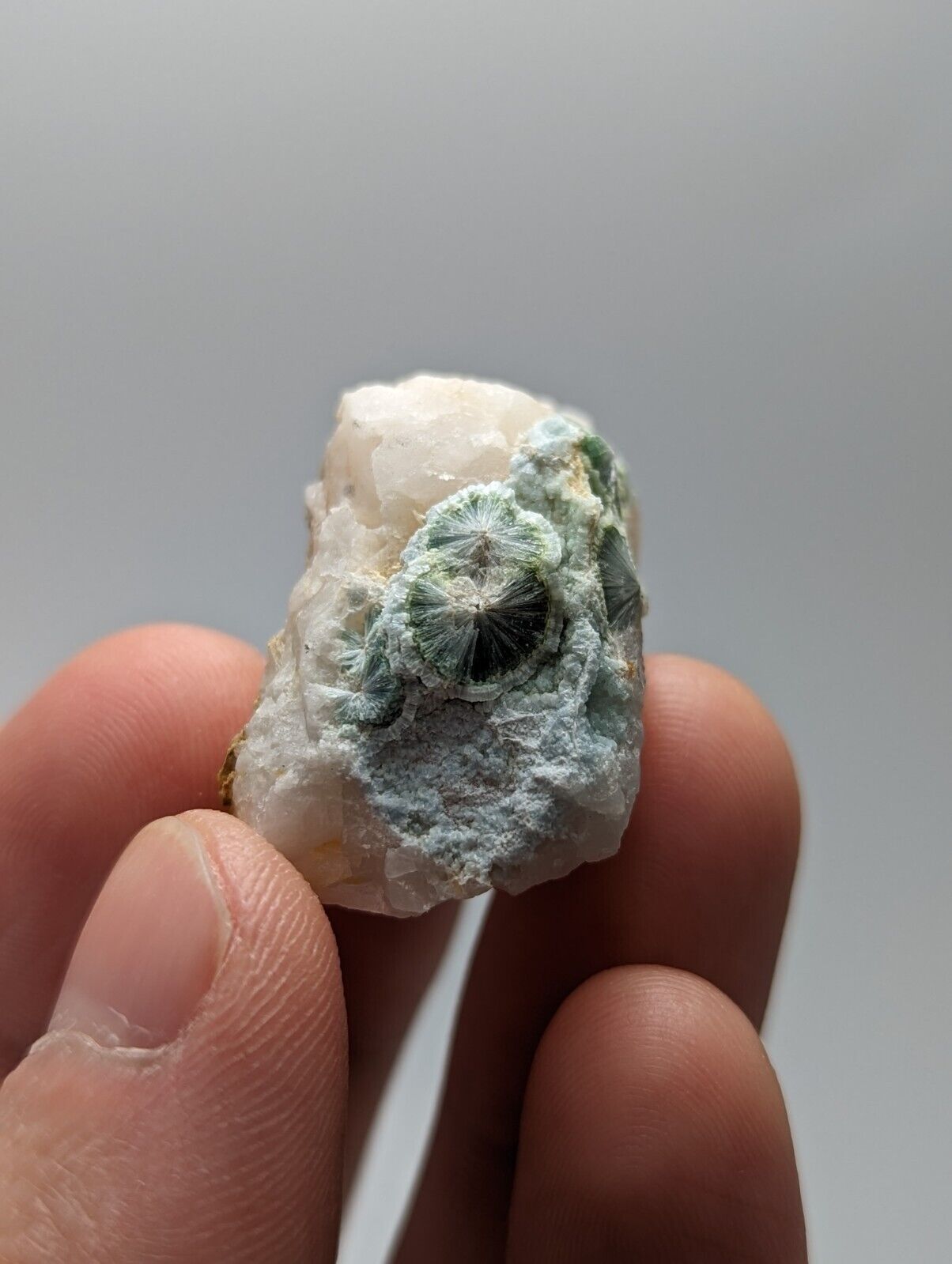 Rare Wavellite in Quartz- Fantastic Old Stock- Mauldin Mountain Arkansas - Collectibles:Rocks Fossils &