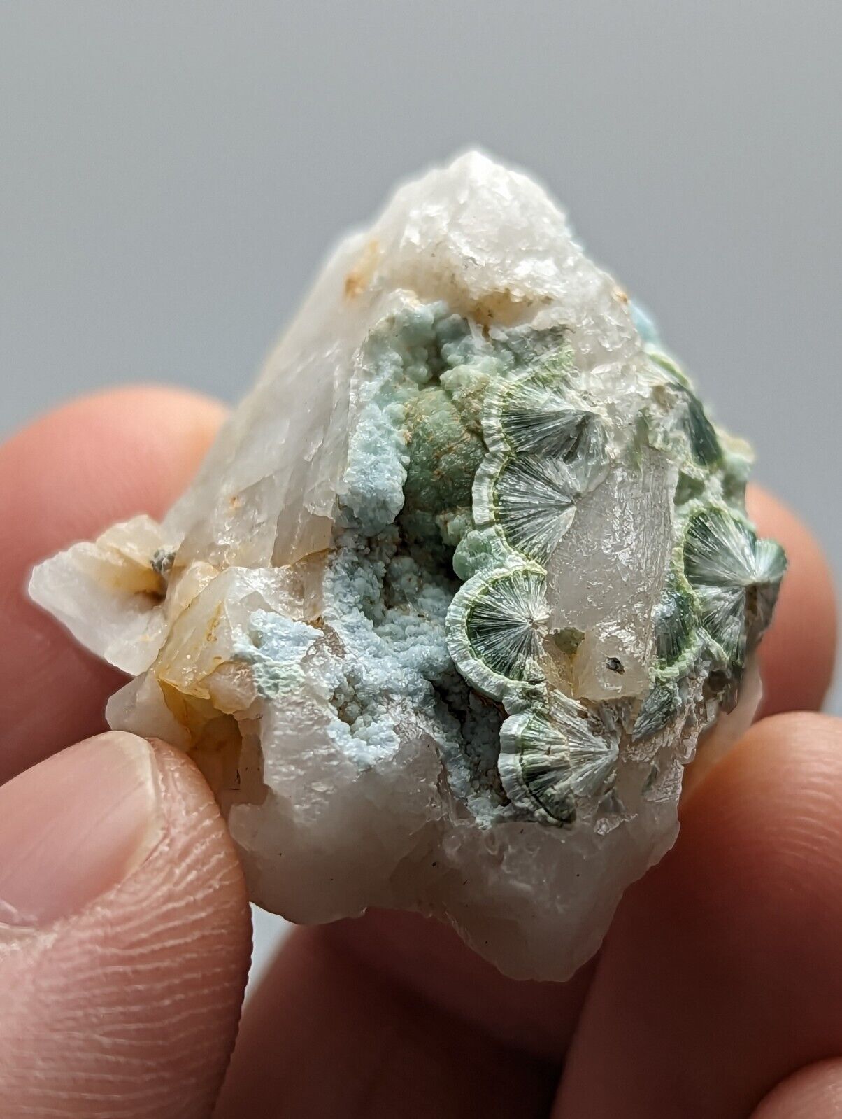 Rare Wavellite in Quartz- Fantastic Old Stock- Mauldin Mountain Arkansas - Collectibles:Rocks Fossils &