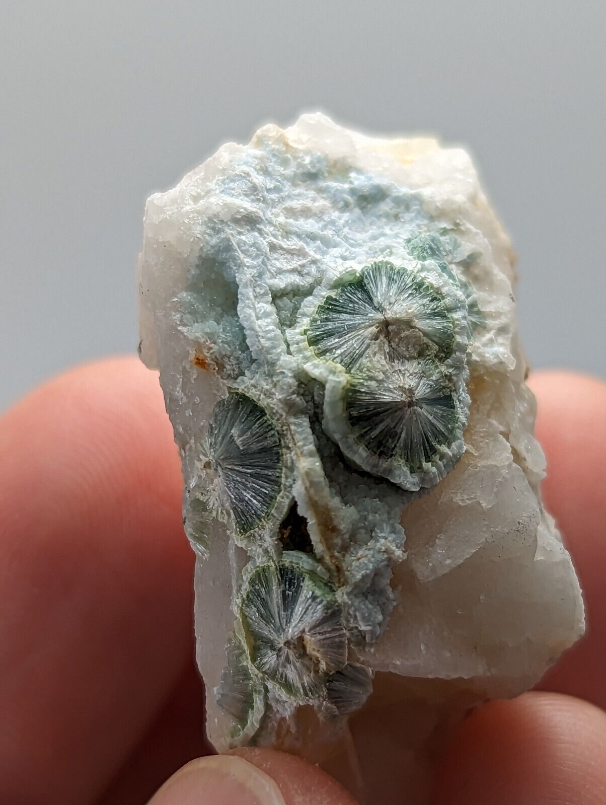 Rare Wavellite in Quartz- Fantastic Old Stock- Mauldin Mountain Arkansas - Collectibles:Rocks Fossils &