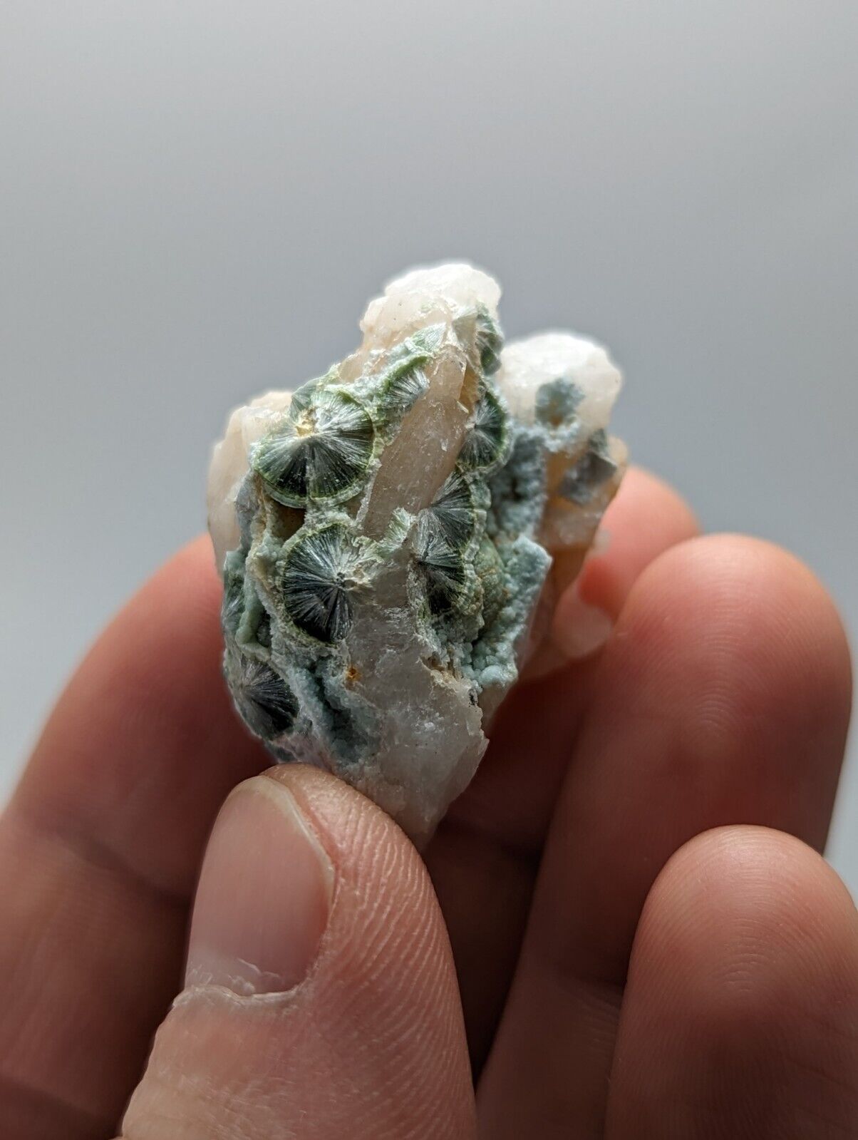 Rare Wavellite in Quartz- Fantastic Old Stock- Mauldin Mountain Arkansas - Collectibles:Rocks Fossils &