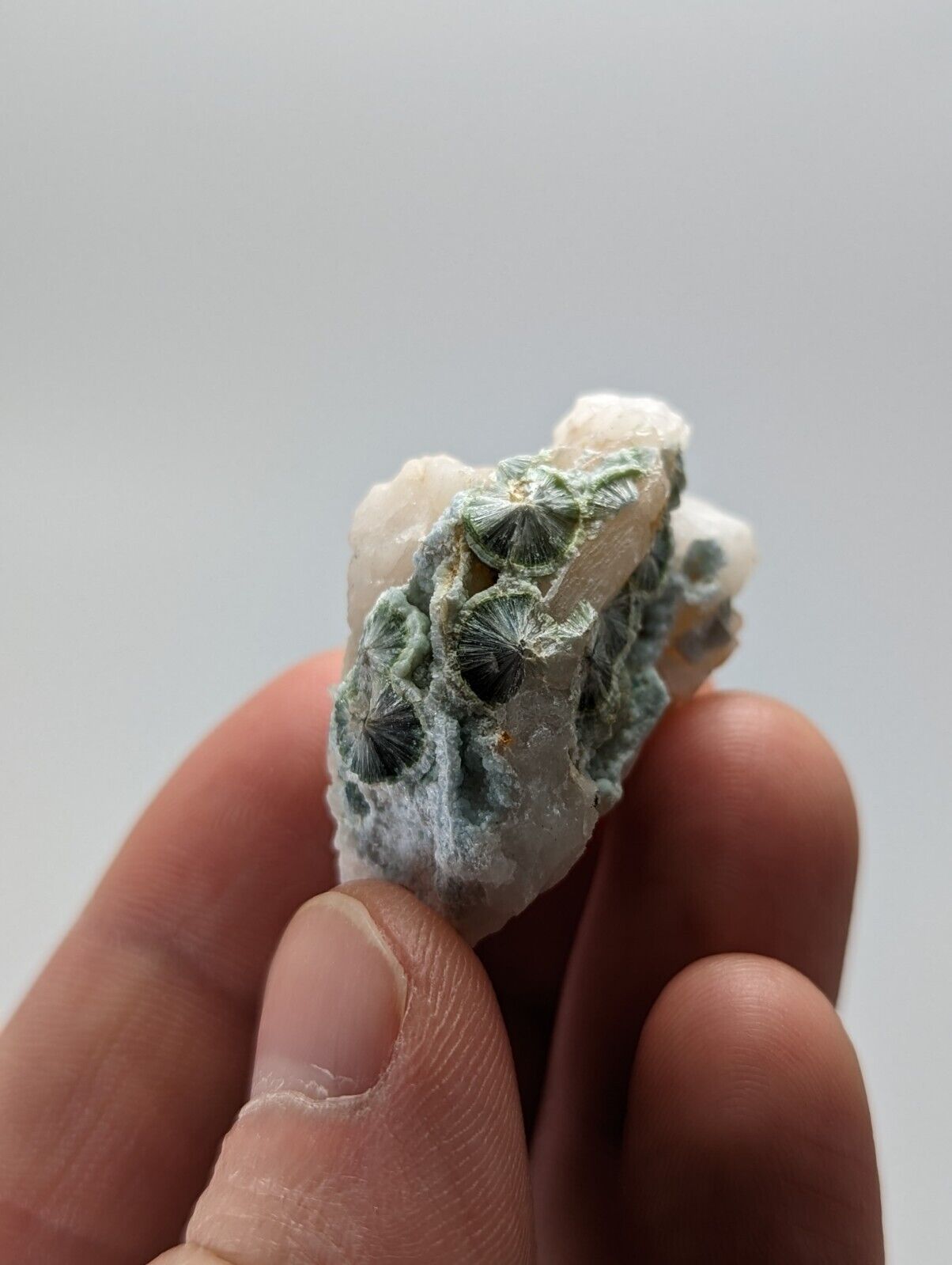 Rare Wavellite in Quartz- Fantastic Old Stock- Mauldin Mountain Arkansas - Collectibles:Rocks Fossils &
