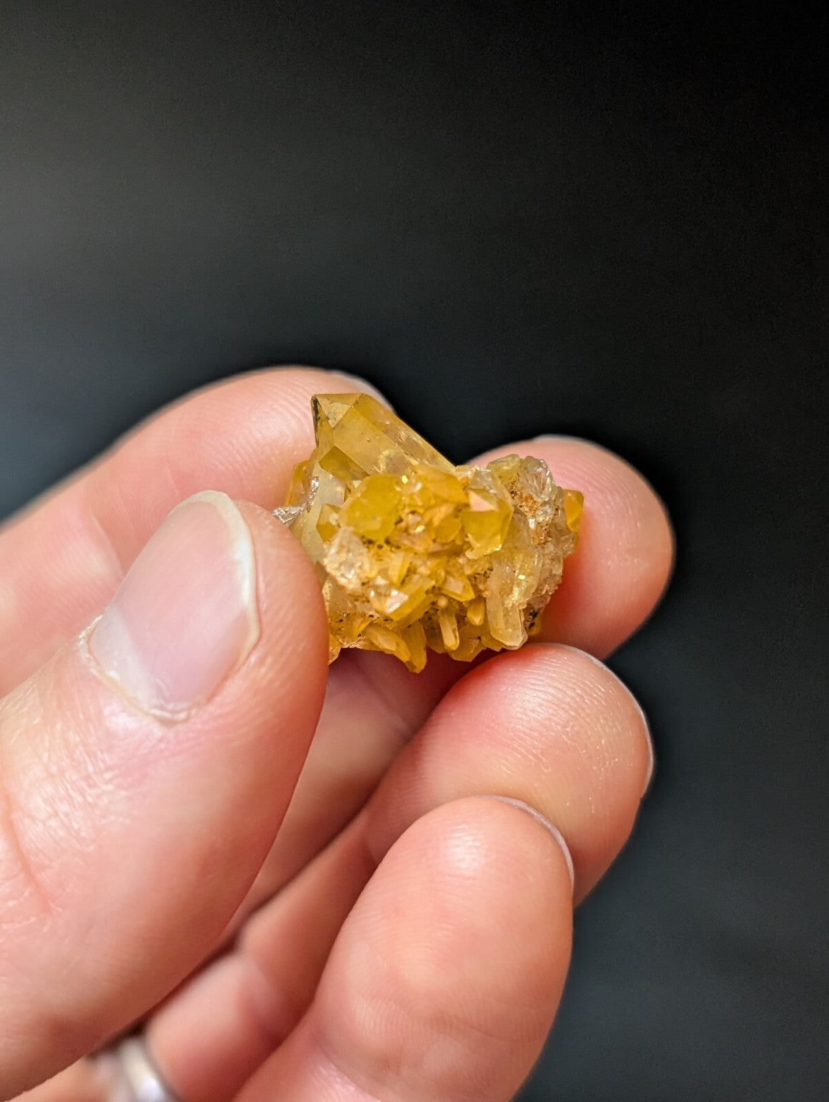 A cluster of translucent yellow crystals with sharp, geometric facets held gently in a hand.