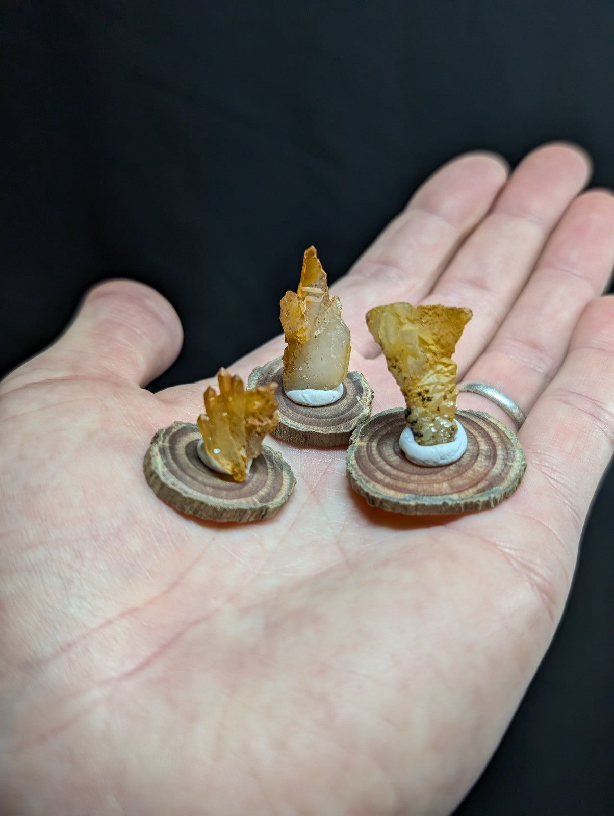 Three miniature amber-colored resin fungi sculptures, each mounted on a circular wood slice base with a white central ring.