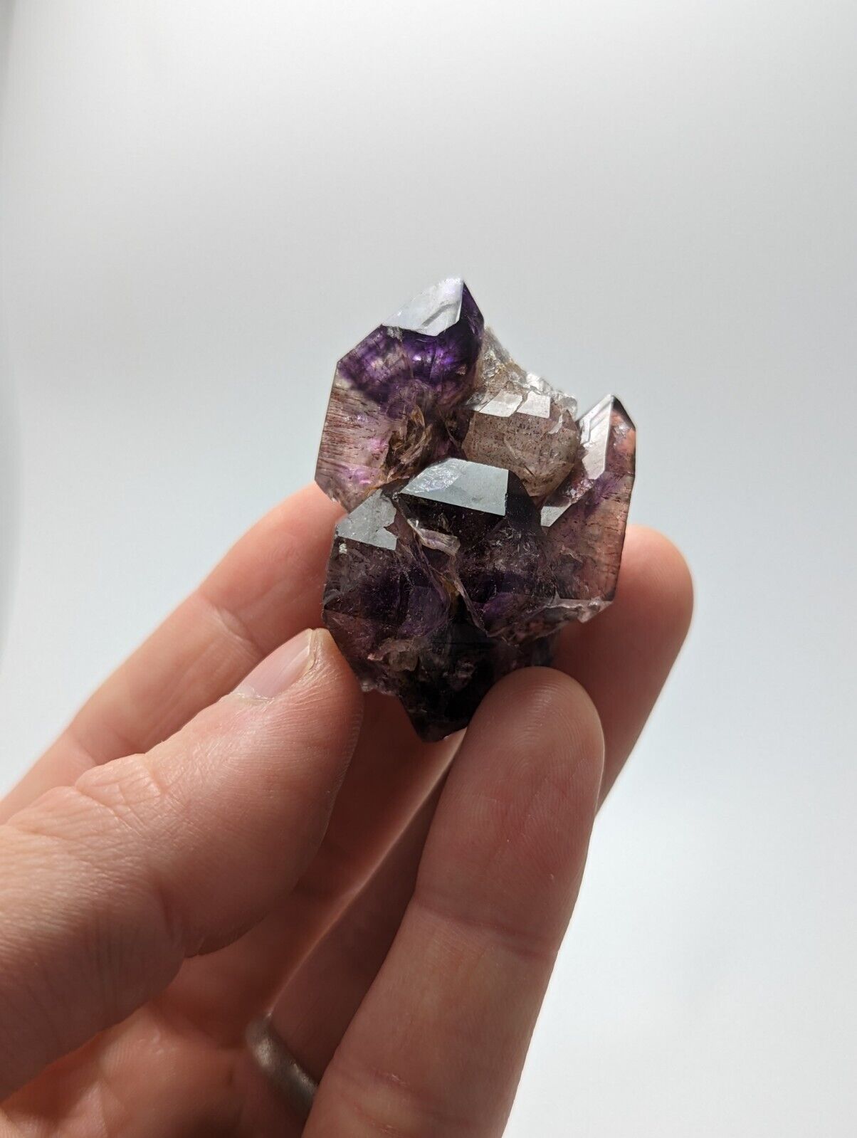Shangaan Smoky Amethyst Quartz Chimbuku Mine Zimbabwe Hematite Inclusions - Collectibles:Rocks Fossils &