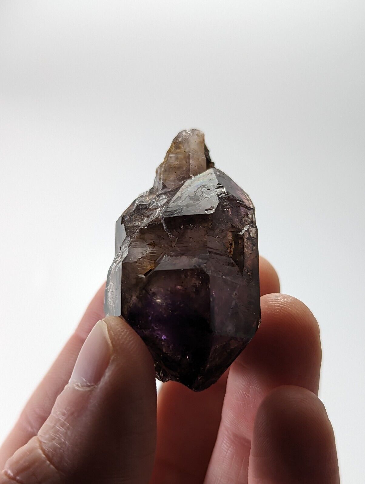 Shangaan Smoky Amethyst Scepter Quartz Chimbuku Mine Zimbabwe - Collectibles:Rocks Fossils & Minerals:Crystals Mineral
