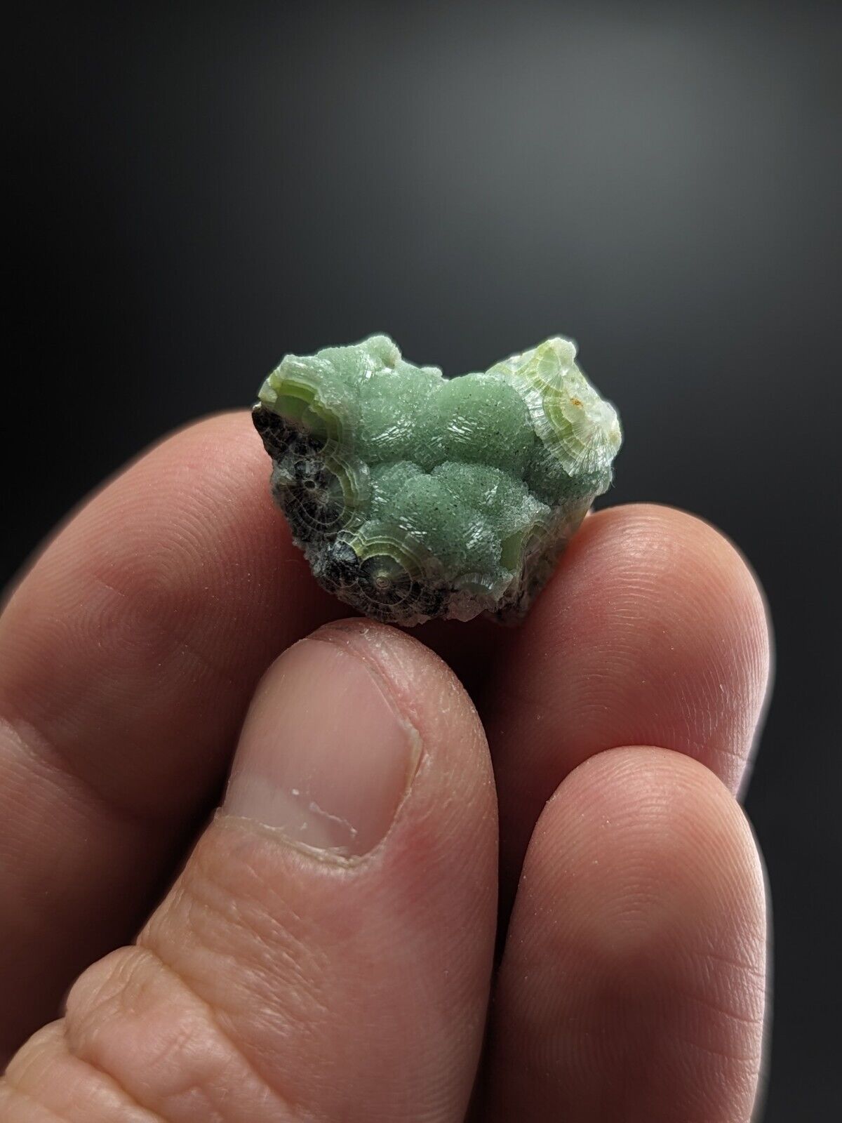 Small Fine Wavellite - Fantastic Old Stock - Mauldin Mountain Arkansas ooak - Collectibles:Rocks Fossils &