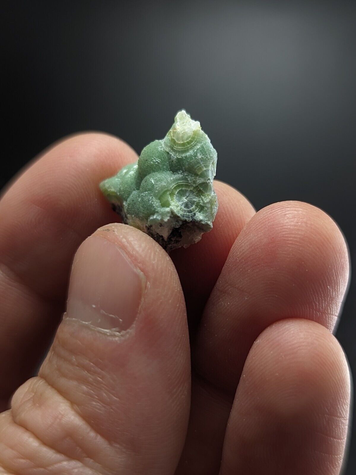 Small Fine Wavellite - Fantastic Old Stock - Mauldin Mountain Arkansas ooak - Collectibles:Rocks Fossils &