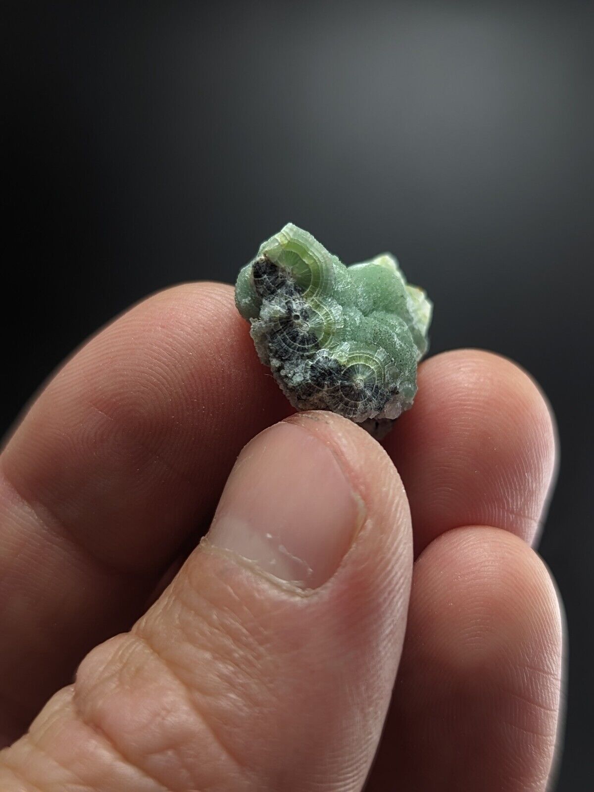 Small Fine Wavellite - Fantastic Old Stock - Mauldin Mountain Arkansas ooak - Collectibles:Rocks Fossils &