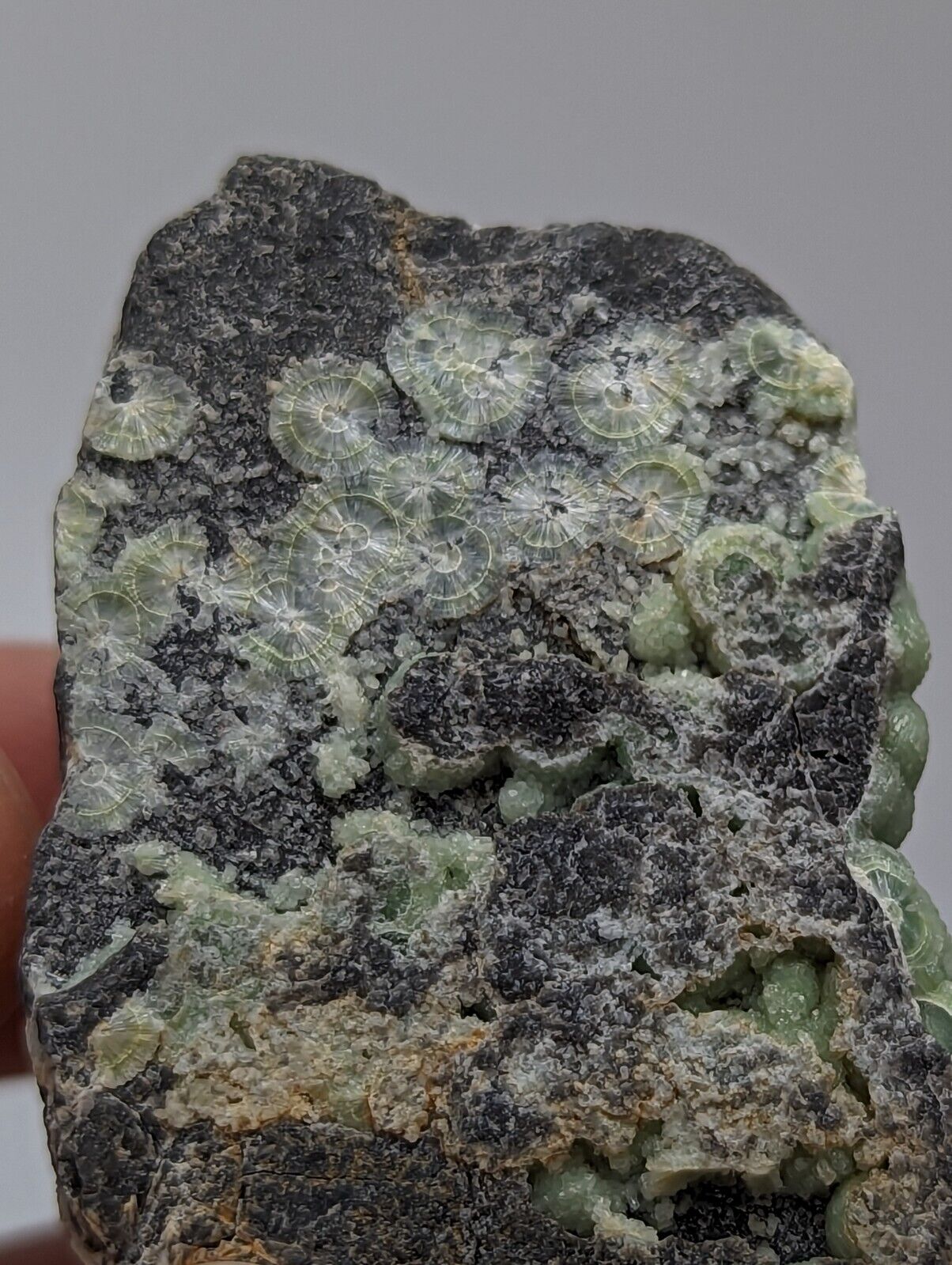Sparkly Wavellite - Fantastic 1990s Old Stock - Mauldin Mountain Arkansas - Collectibles:Rocks Fossils &
