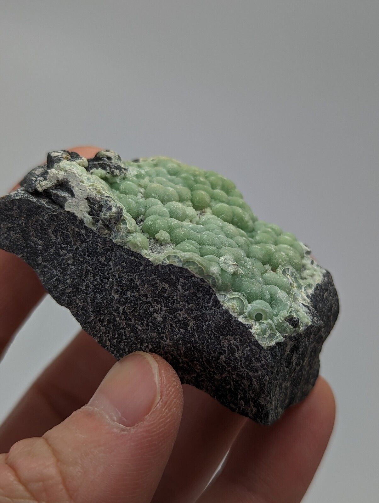 Sparkly Wavellite - Fantastic 1990s Old Stock - Mauldin Mountain Arkansas - Collectibles:Rocks Fossils &