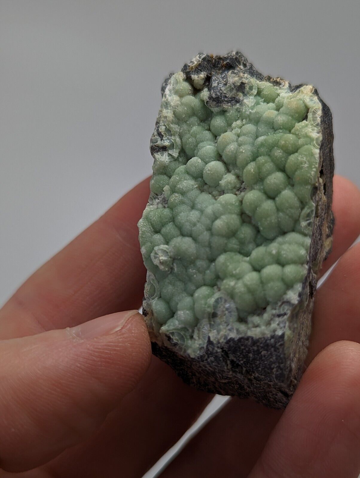 Sparkly Wavellite - Fantastic 1990s Old Stock - Mauldin Mountain Arkansas - Collectibles:Rocks Fossils &