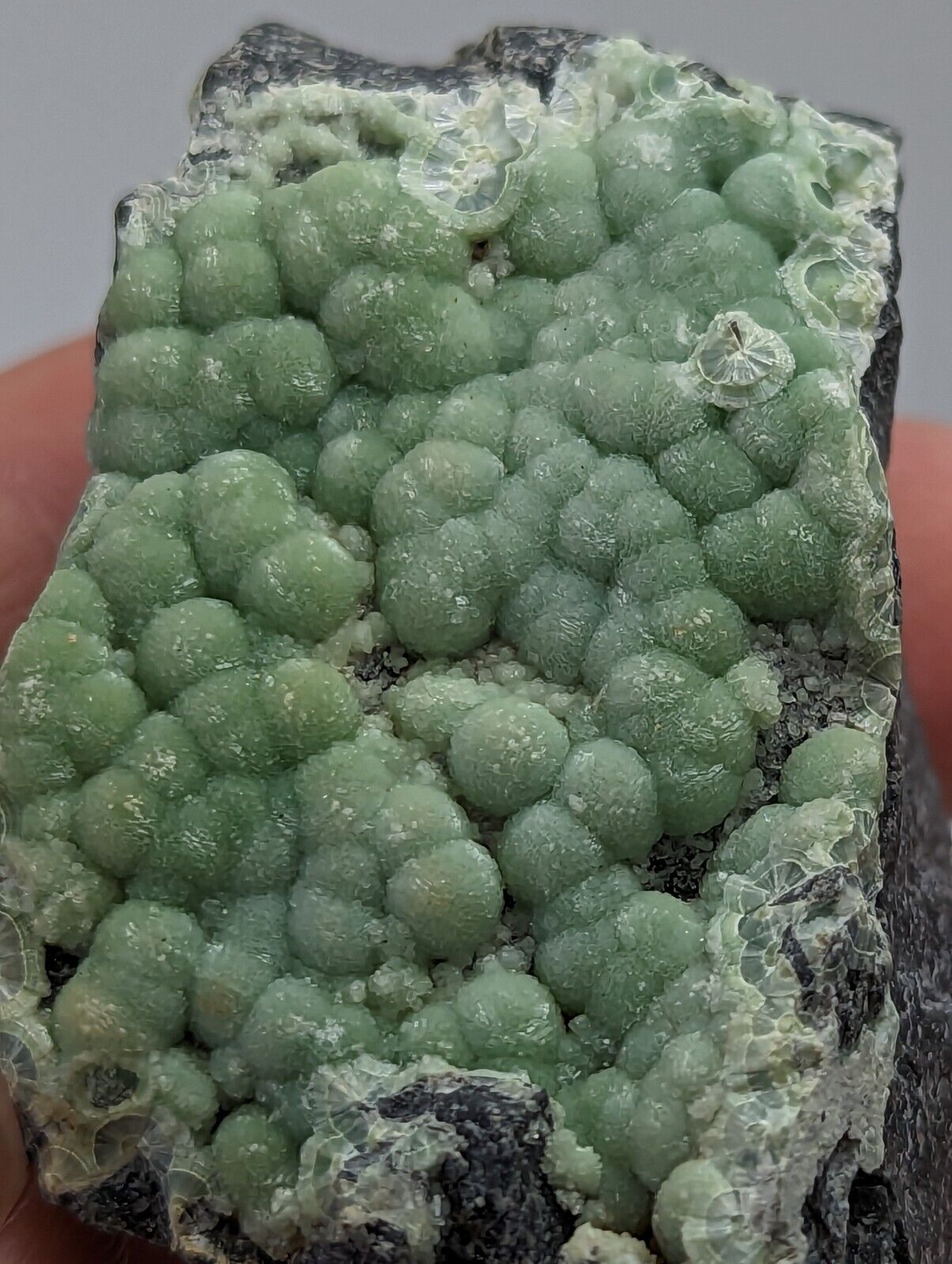 Sparkly Wavellite - Fantastic 1990s Old Stock - Mauldin Mountain Arkansas - Collectibles:Rocks Fossils &
