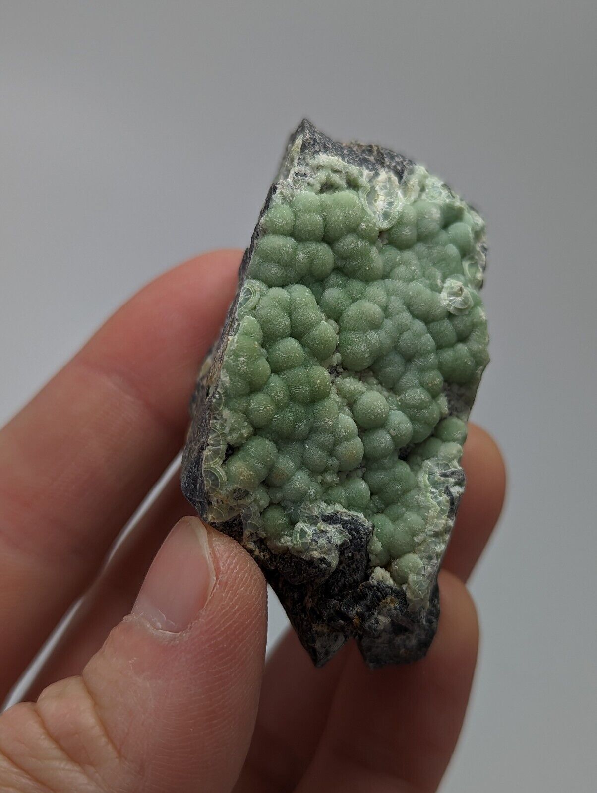 Sparkly Wavellite - Fantastic 1990s Old Stock - Mauldin Mountain Arkansas - Collectibles:Rocks Fossils &