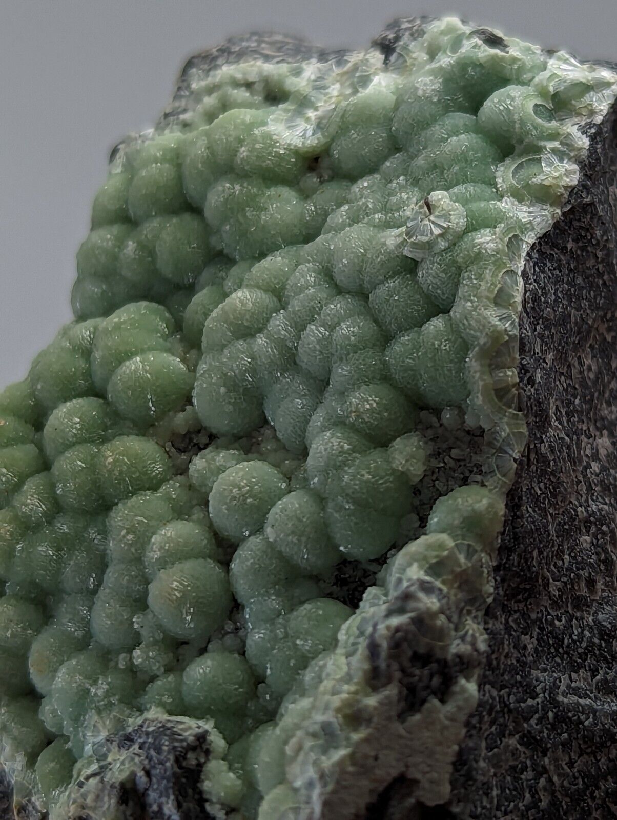 Sparkly Wavellite - Fantastic 1990s Old Stock - Mauldin Mountain Arkansas - Collectibles:Rocks Fossils &