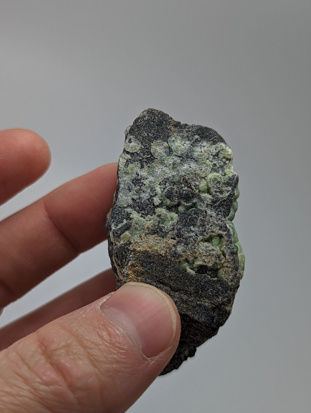 Sparkly Wavellite - Fantastic 1990s Old Stock - Mauldin Mountain Arkansas - Collectibles:Rocks Fossils &