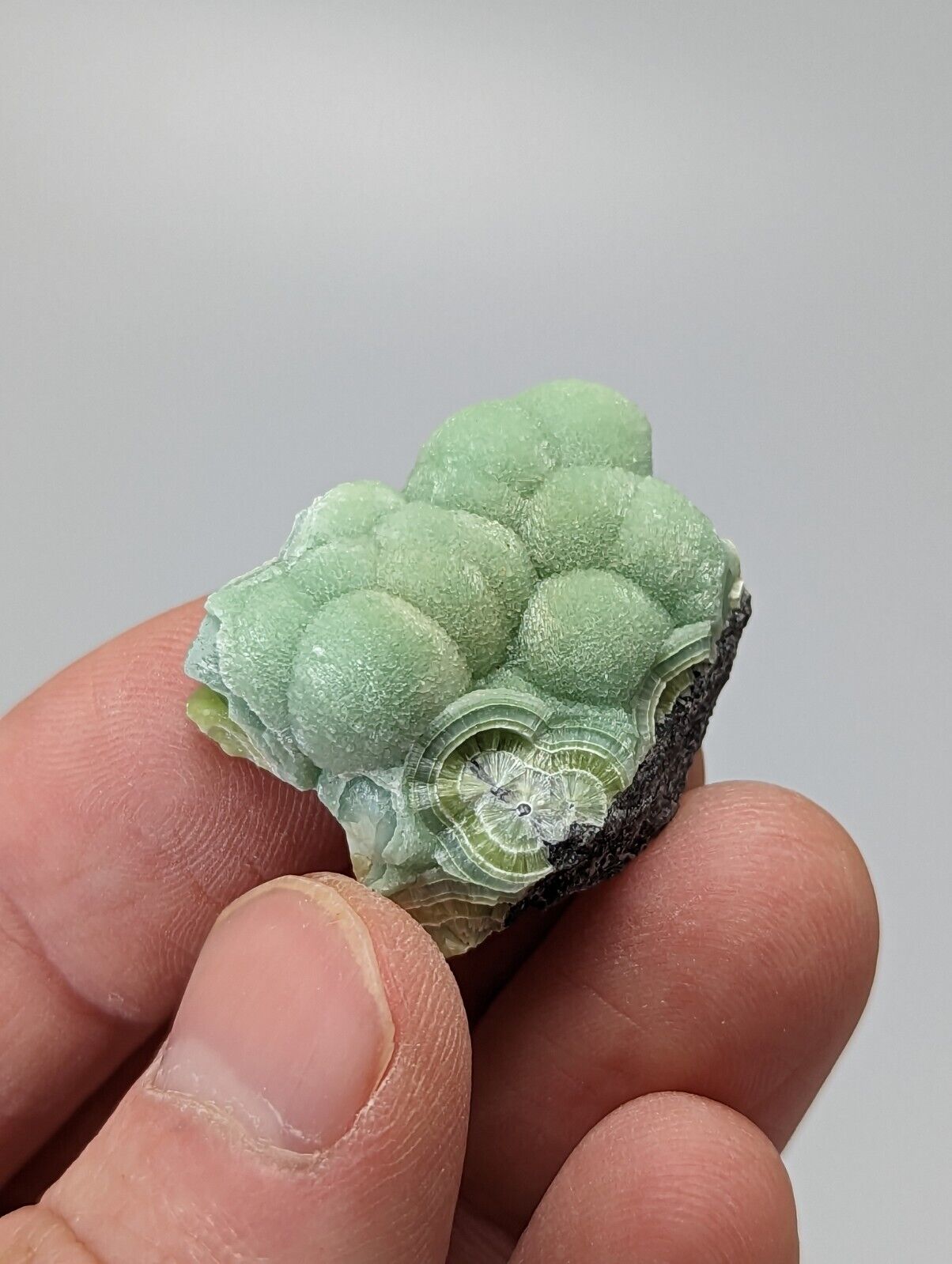 Special Wavellite - Fantastic 1990s Old Stock - Mauldin Mountain Arkansas - Collectibles:Rocks Fossils &