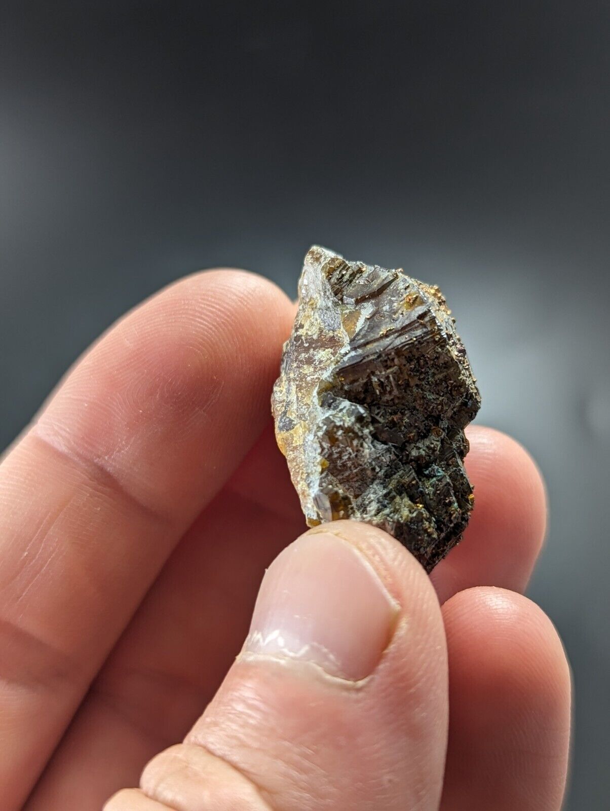 Sphalerite w/ Chalcopyrite Lucky Dog Mine Searcy County Arkansas Old Stock - Collectibles:Rocks Fossils &