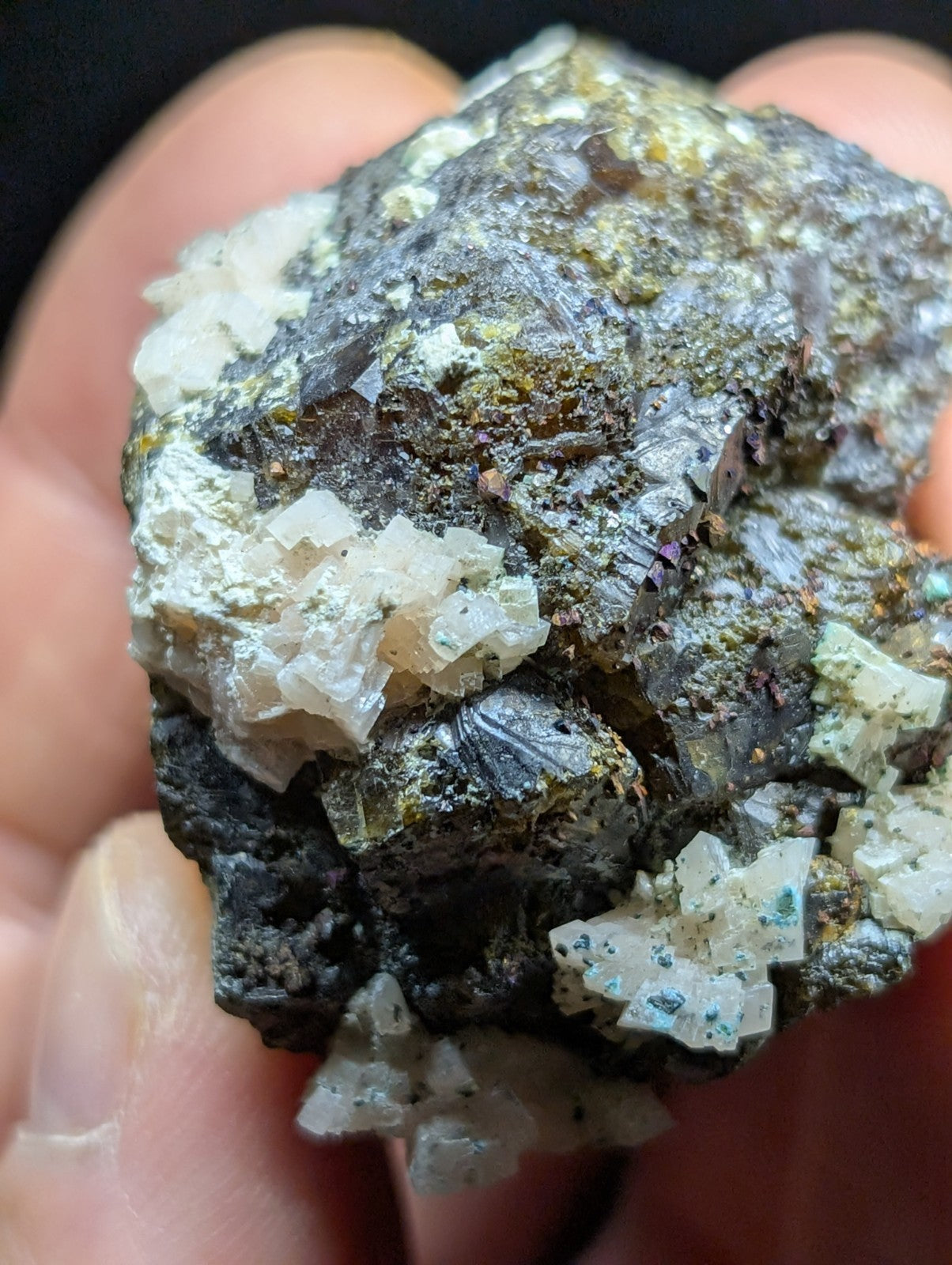 Sphalerite w/ Chalcopyrite Lucky Dog Mine Searcy County Arkansas Old Stock - Collectibles:Rocks Fossils &