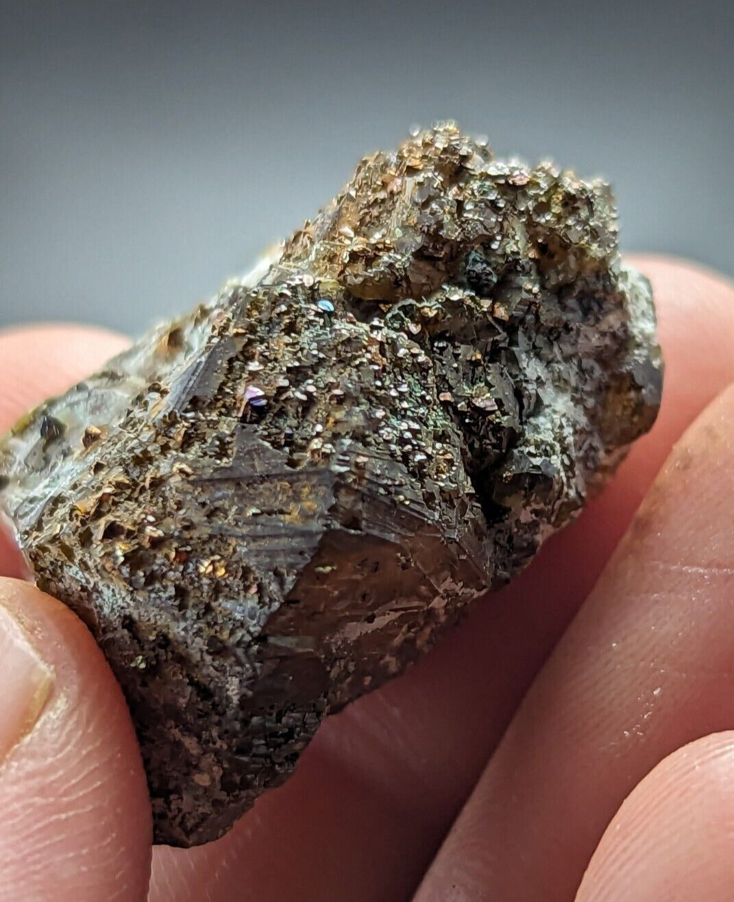 Sphalerite w/ Chalcopyrite Lucky Dog Mine Searcy County Arkansas Old Stock - Collectibles:Rocks Fossils &