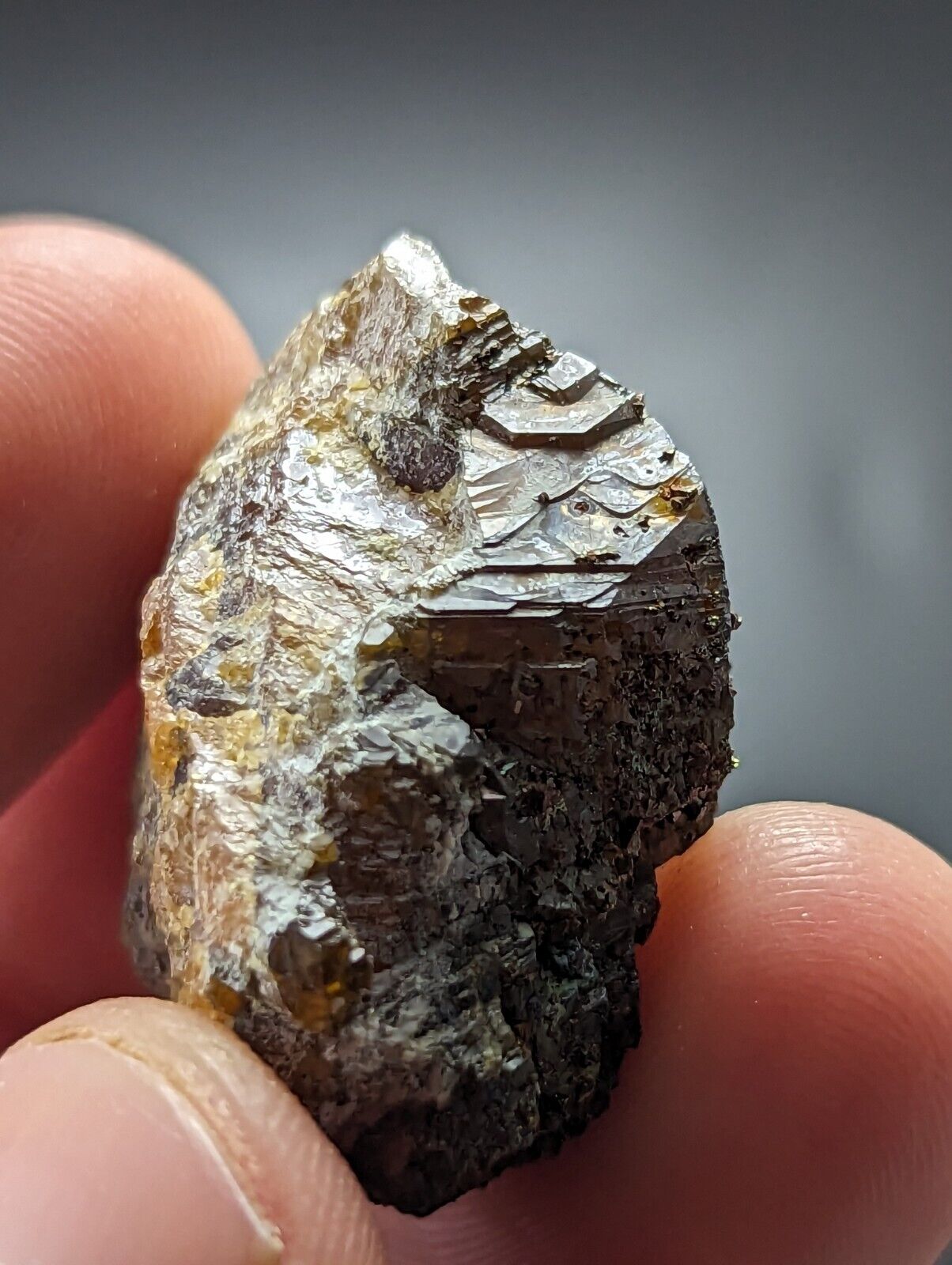 Sphalerite w/ Chalcopyrite Lucky Dog Mine Searcy County Arkansas Old Stock - Collectibles:Rocks Fossils &