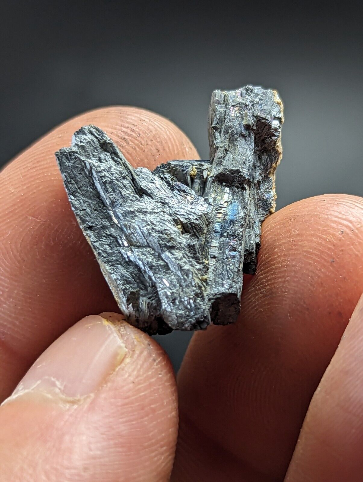 Stibnite Antimony Bluff Mine Sevier County Arkansas Very Rare and Unique - Collectibles:Rocks Fossils &