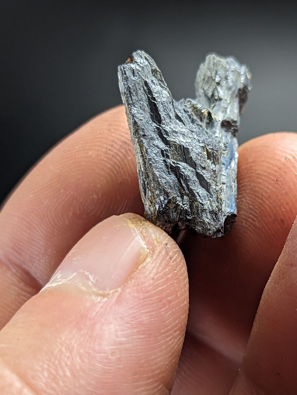 Stibnite Antimony Bluff Mine Sevier County Arkansas Very Rare and Unique - Collectibles:Rocks Fossils &