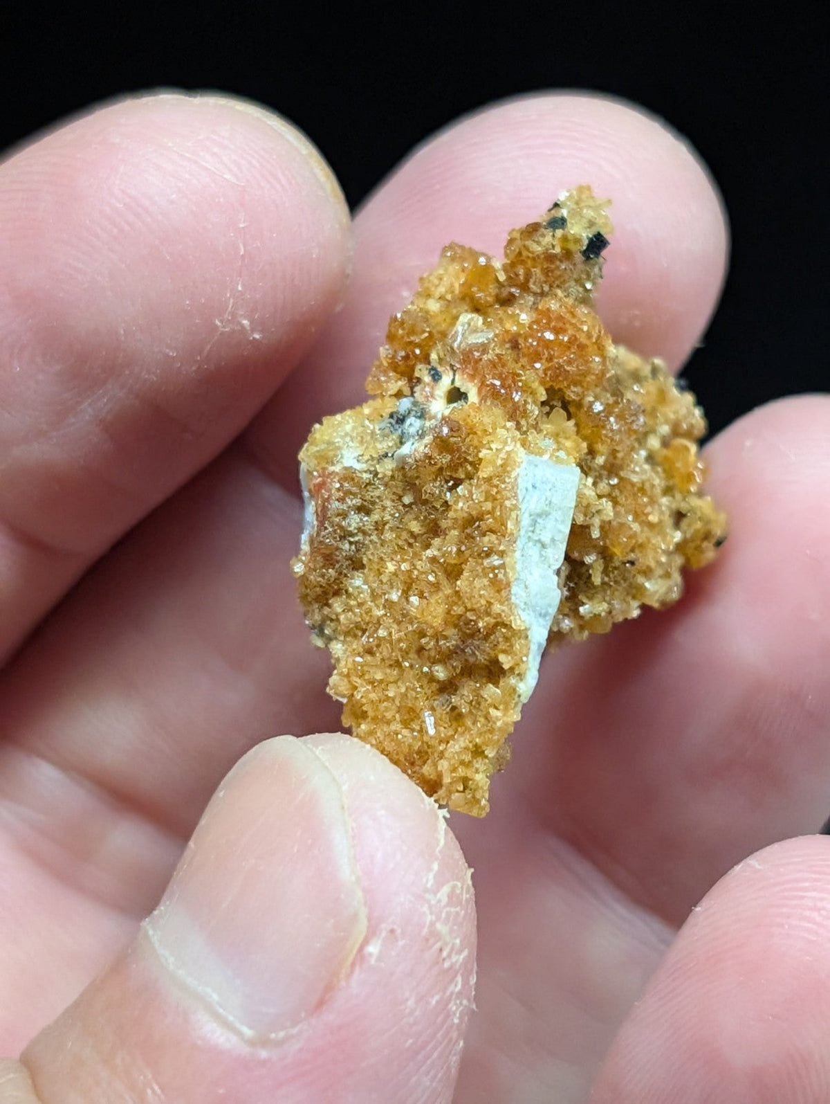 A textured, golden-orange mineral specimen with crystalline formations and a contrasting white inclusion.