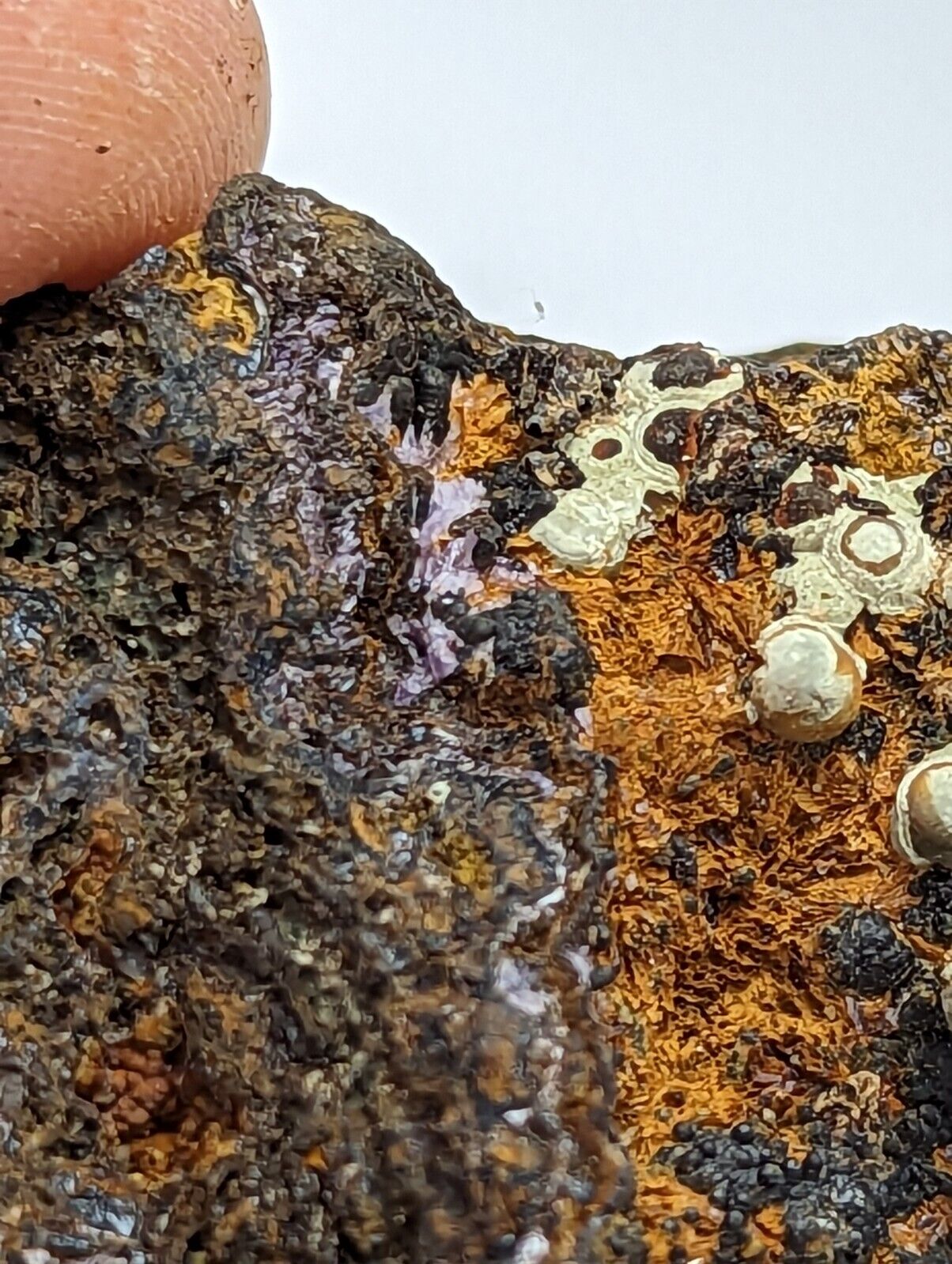Super Rare Strengite And Kidwellite Coon Creek Mine Polk County Arkansas A + - Collectibles:Rocks Fossils &
