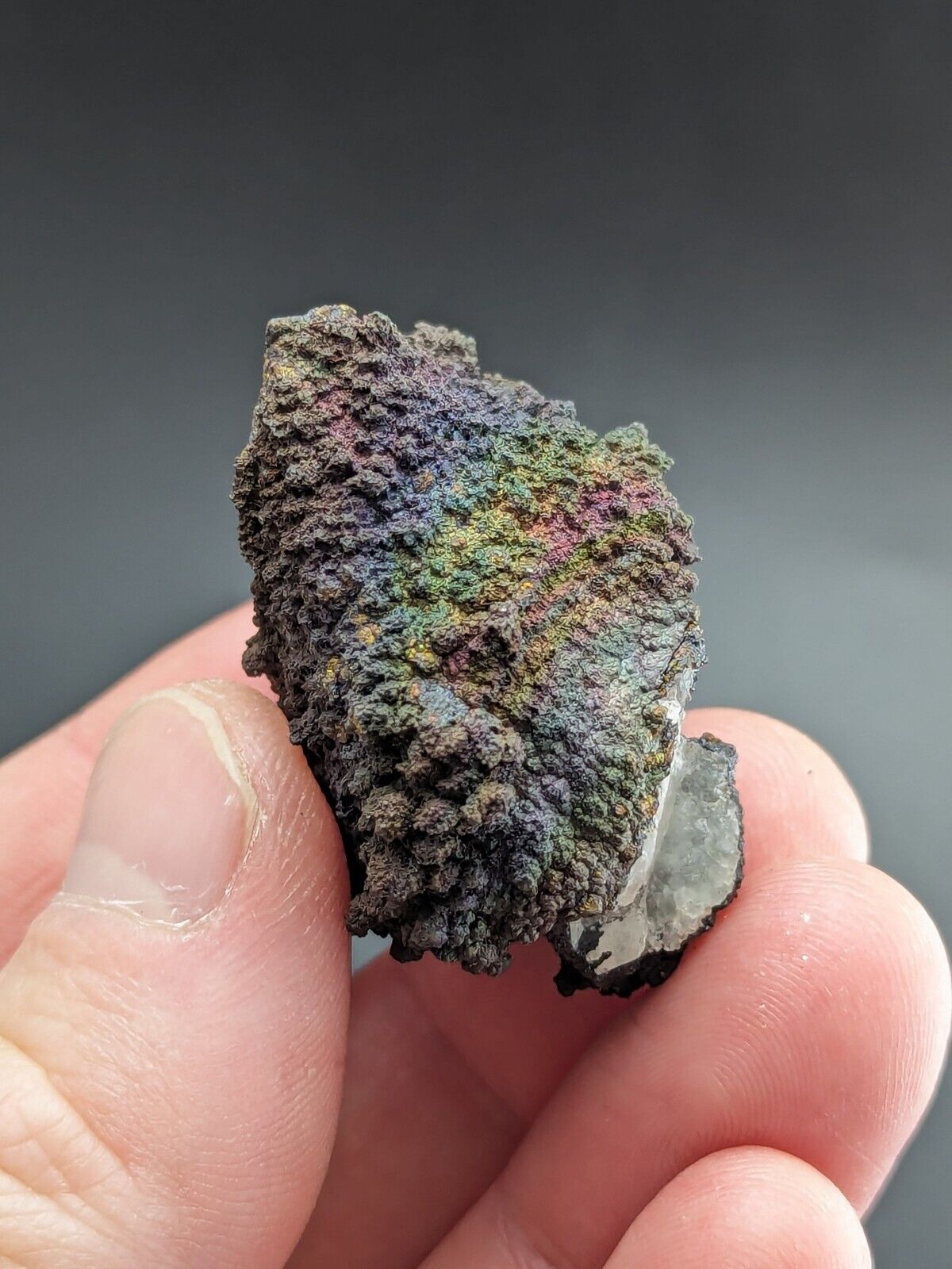 Turgite Iridescent Hematite on Quartz Graves Mountain Georgia Old Collection - Collectibles:Rocks Fossils &