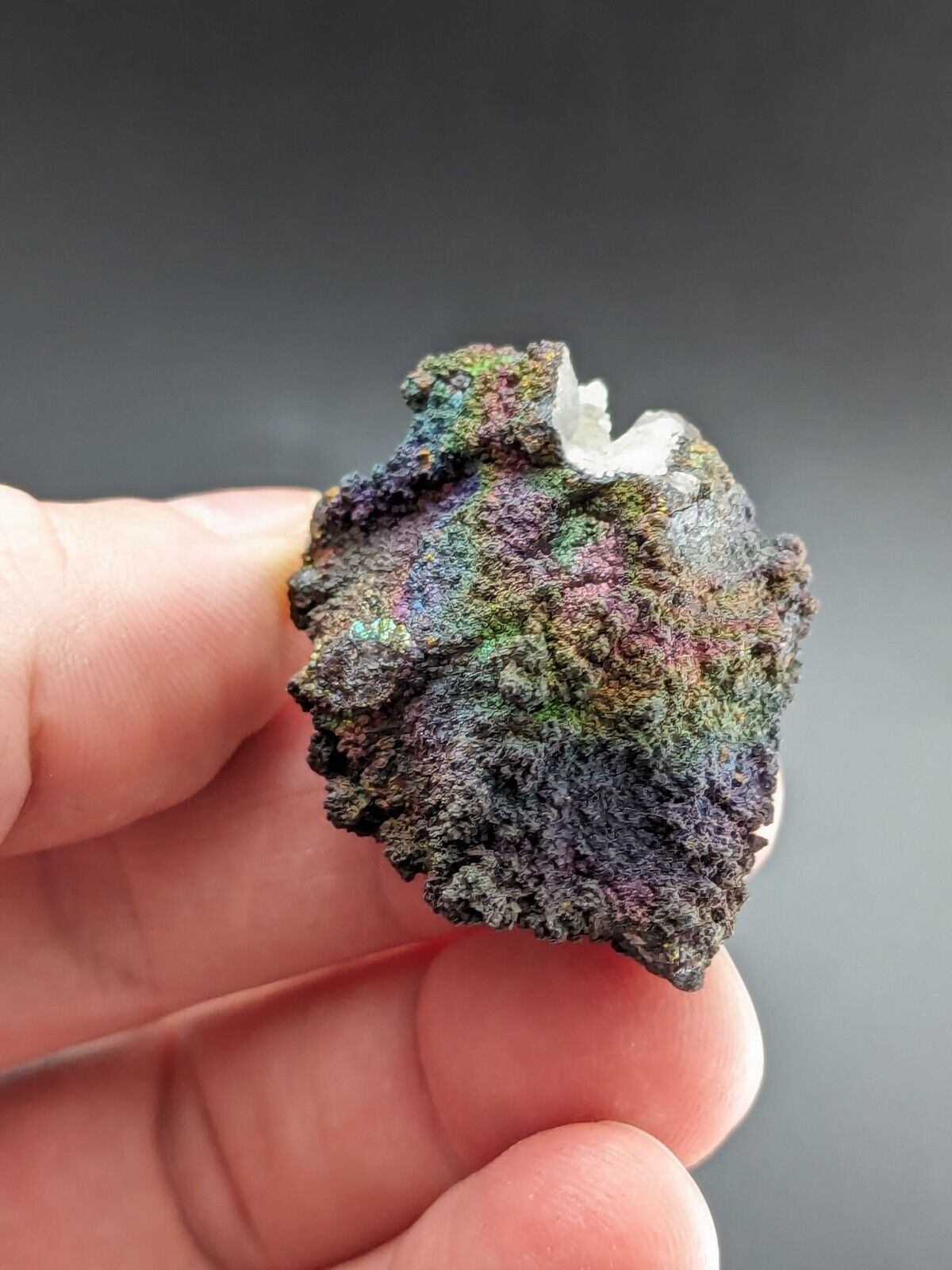 Turgite Iridescent Hematite on Quartz Graves Mountain Georgia Old Collection - Collectibles:Rocks Fossils &