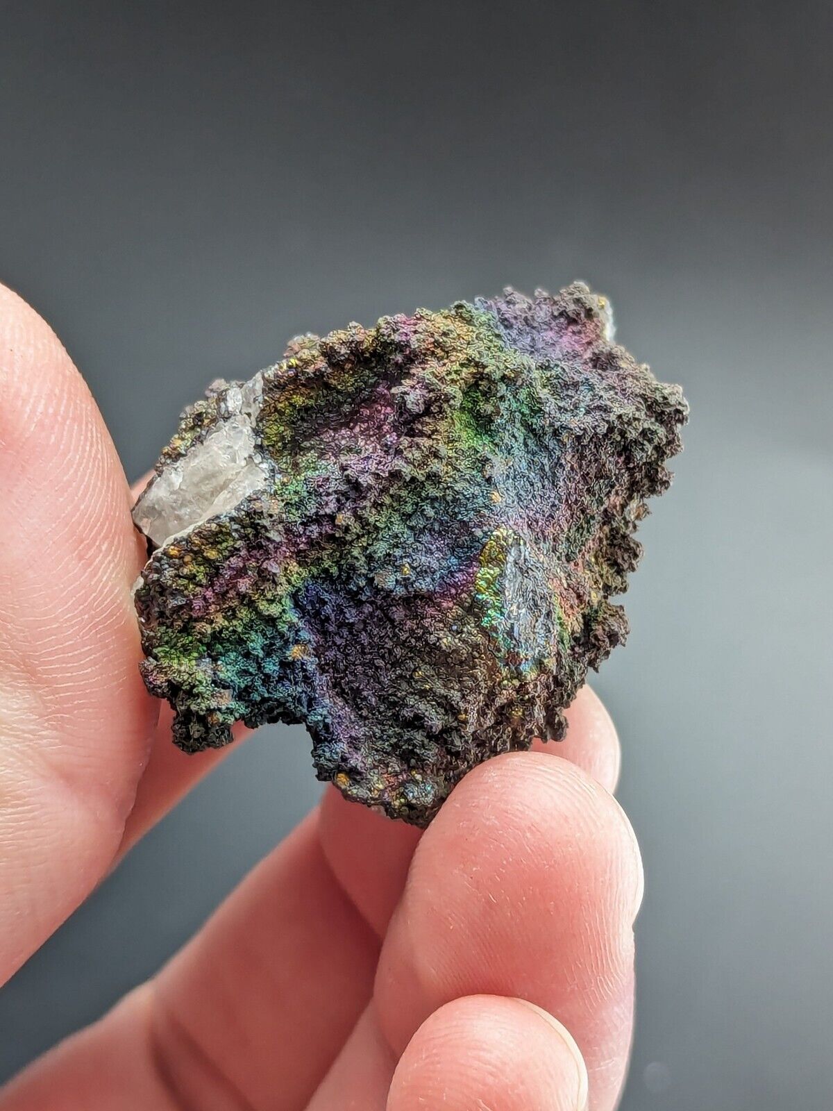 Turgite Iridescent Hematite on Quartz Graves Mountain Georgia Old Collection - Collectibles:Rocks Fossils &