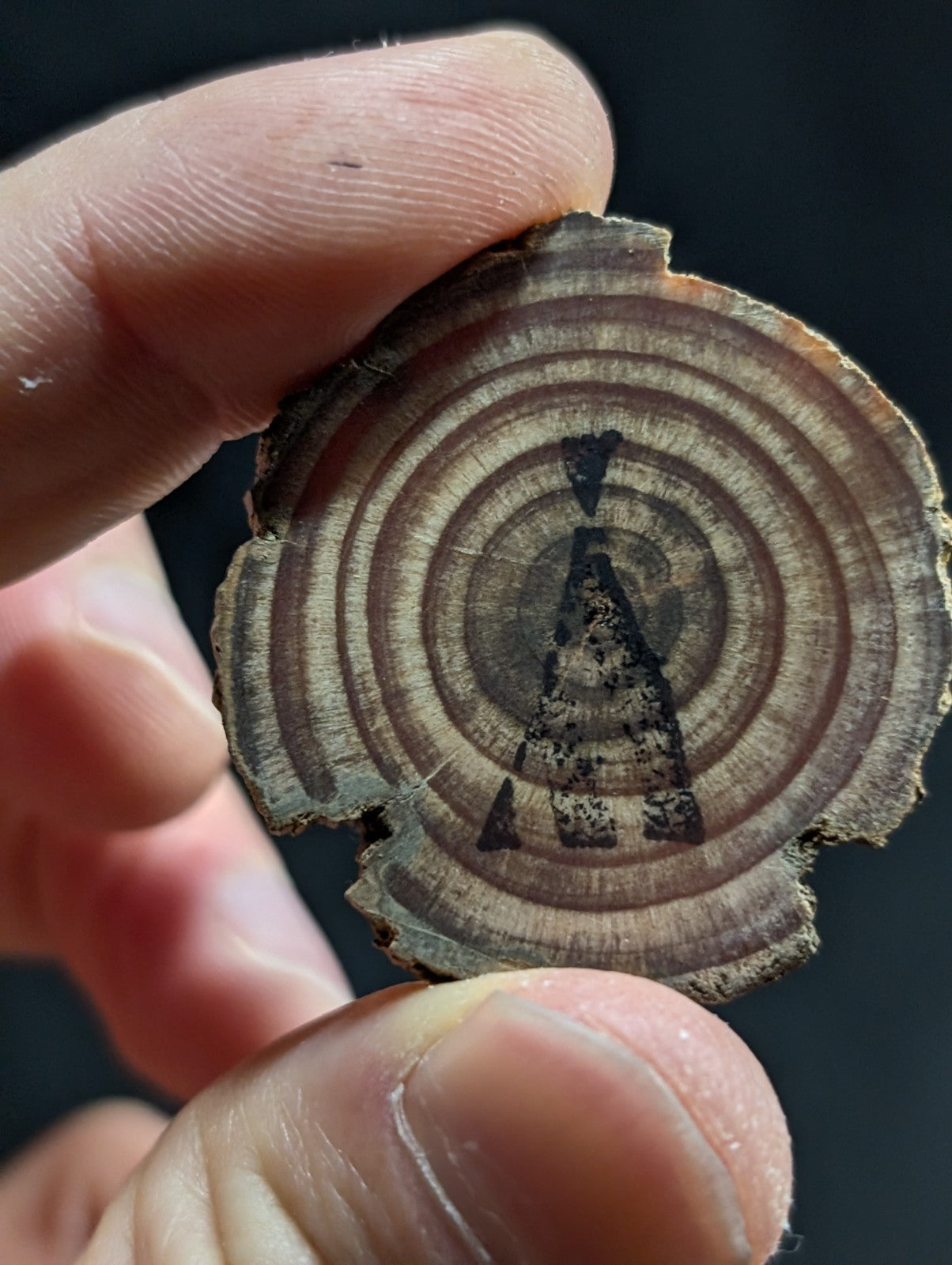 A rustic, circular wooden slice with visible growth rings and a dark inked tree silhouette design.