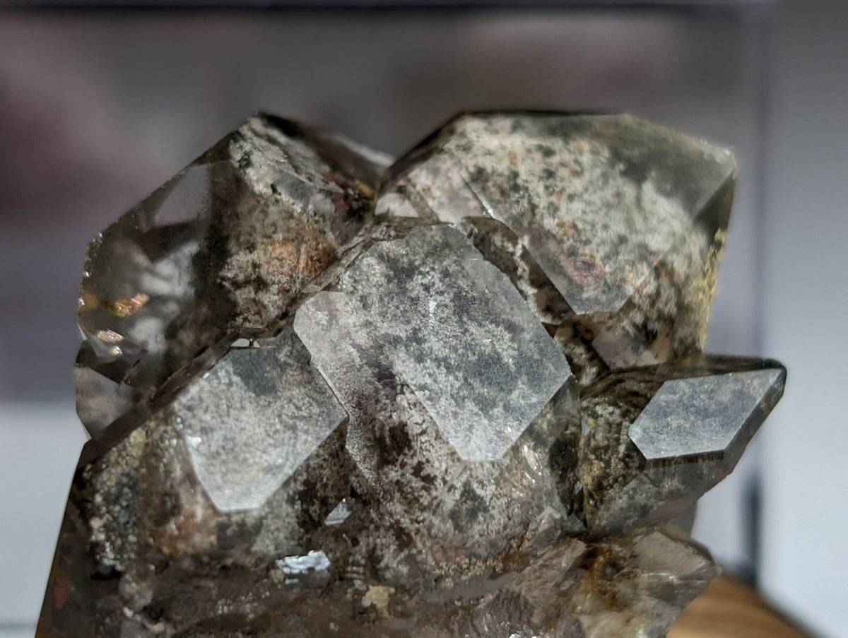 A cluster of smoky quartz crystals with translucent, grayish-brown facets and earthy matrix.