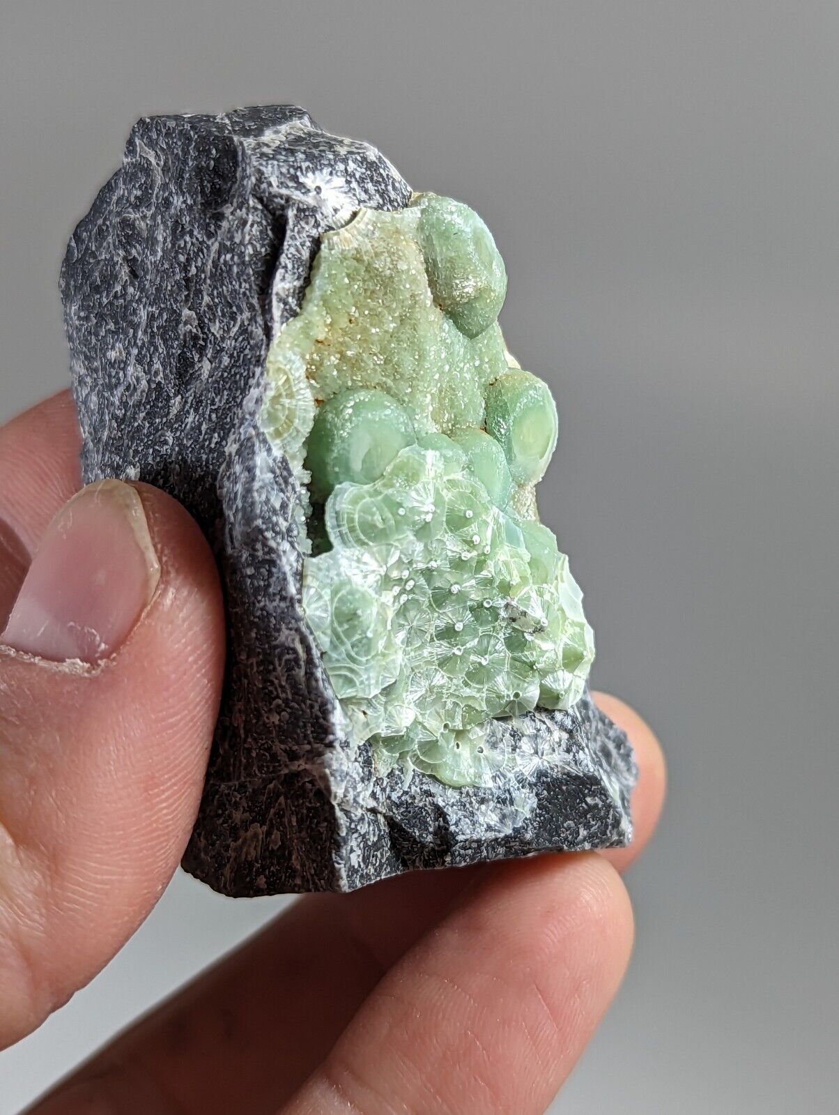 Unique Wavellite - Fantastic 1990s Old Stock - Mauldin Mountain Arkansas - Collectibles:Rocks Fossils &